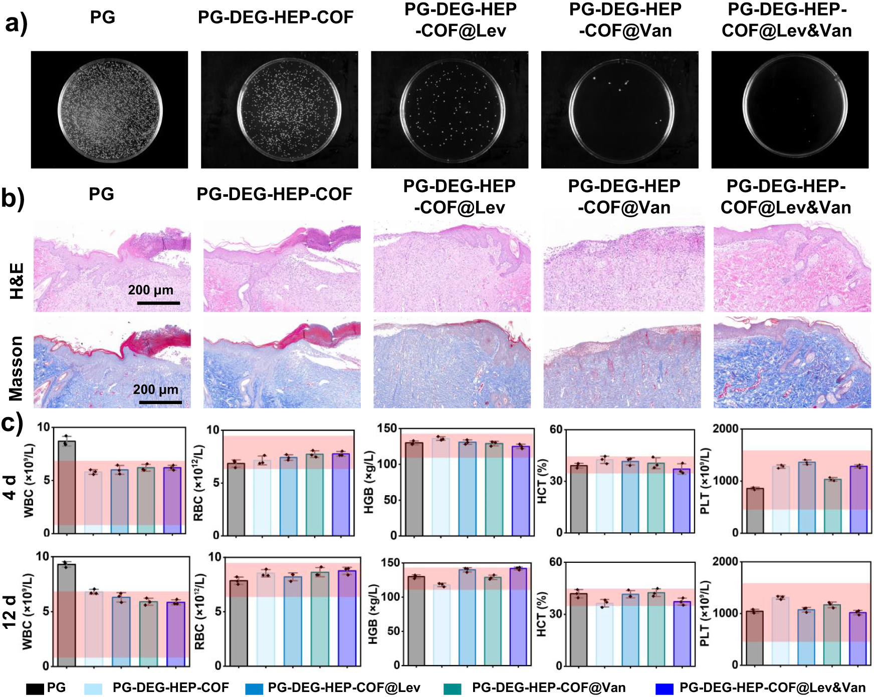 Fig. 5: Assessment of wound healing.