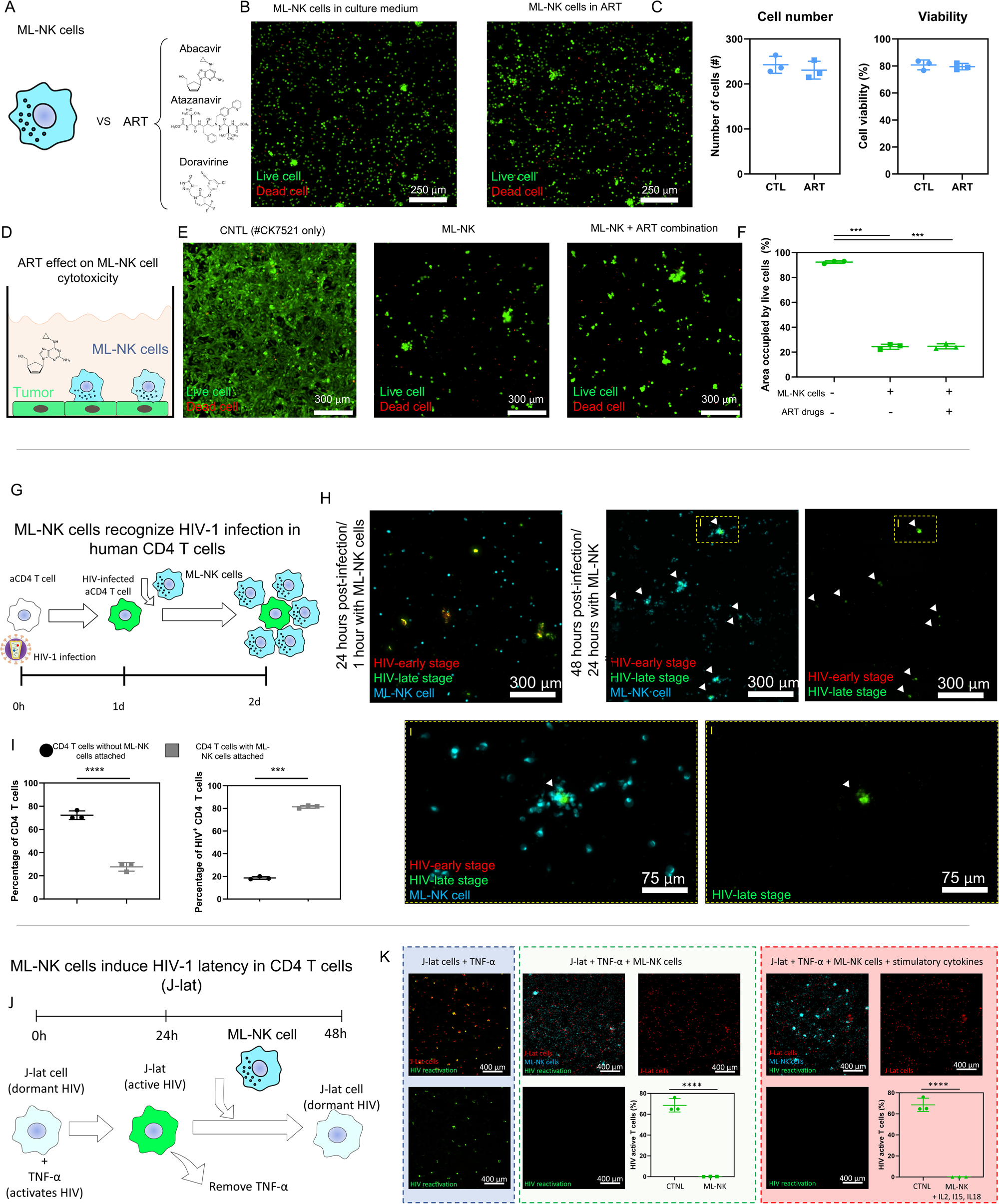 Fig. 3: ML-NK cells retain their cytotoxic capacity in the presence of ART drugs and reduce HIV-1 activation.