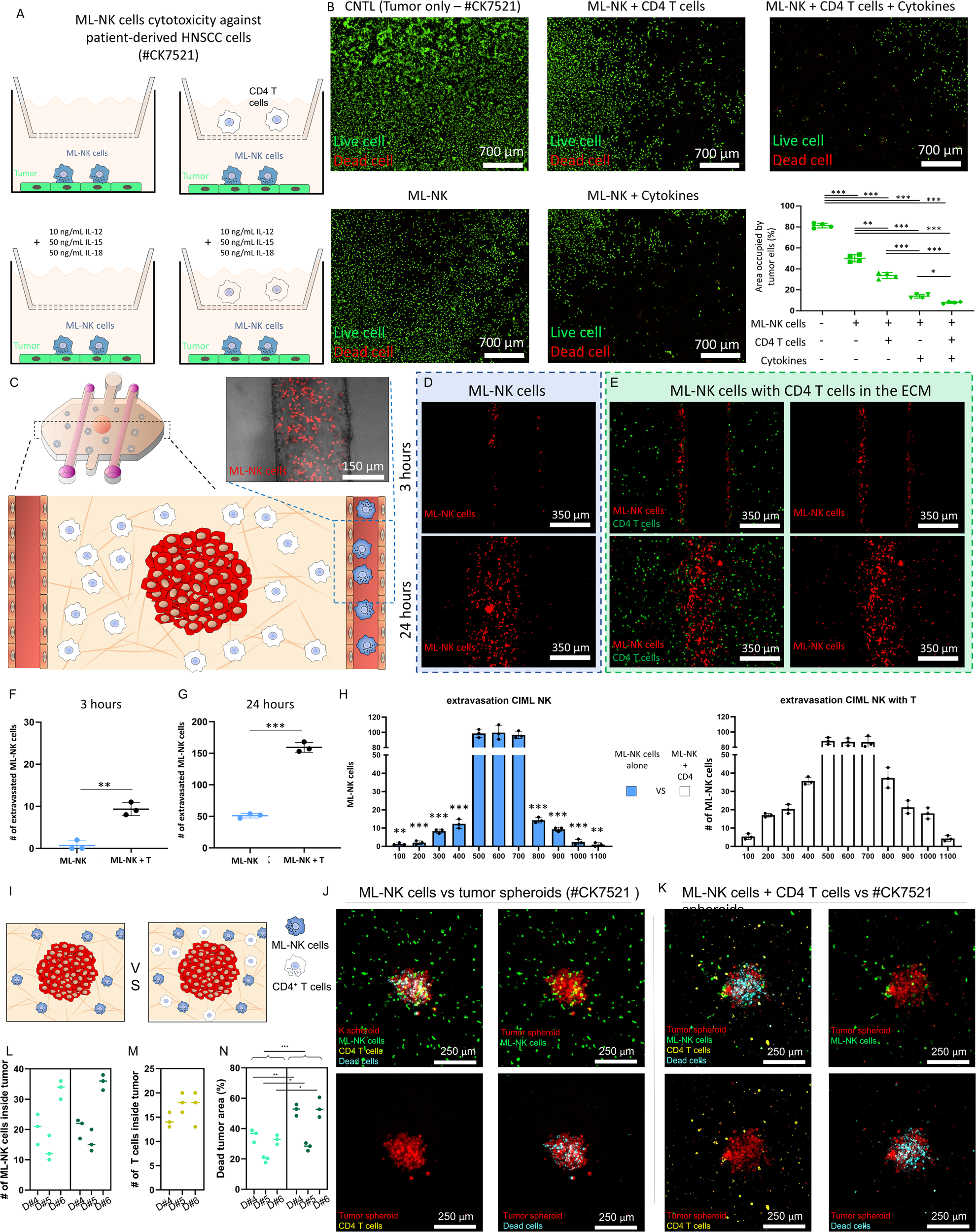 Fig. 4: Effect of activated CD4 T cells in ML-NK cells.