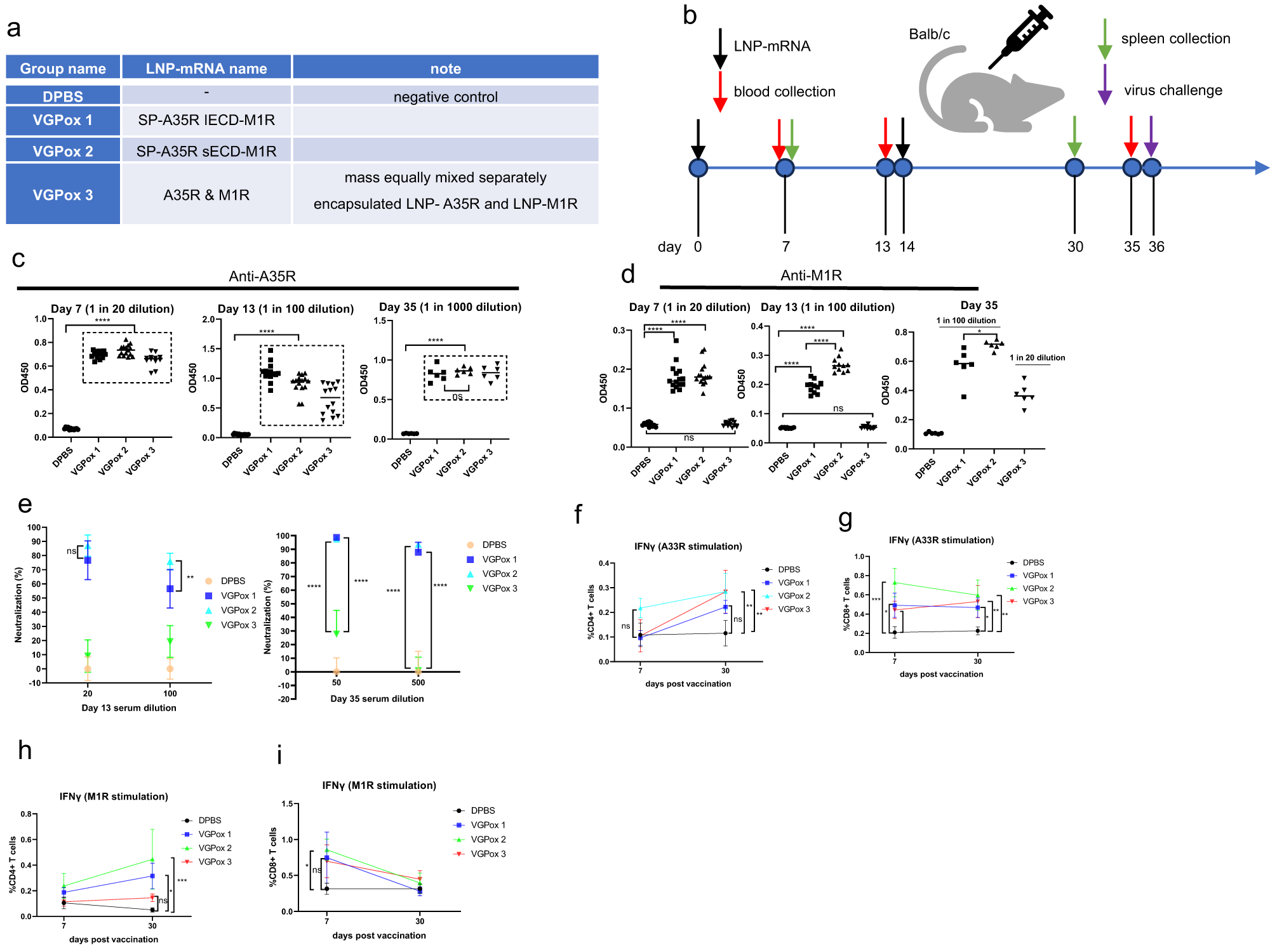Fig. 2: Mice vaccination and immune responses analysis.