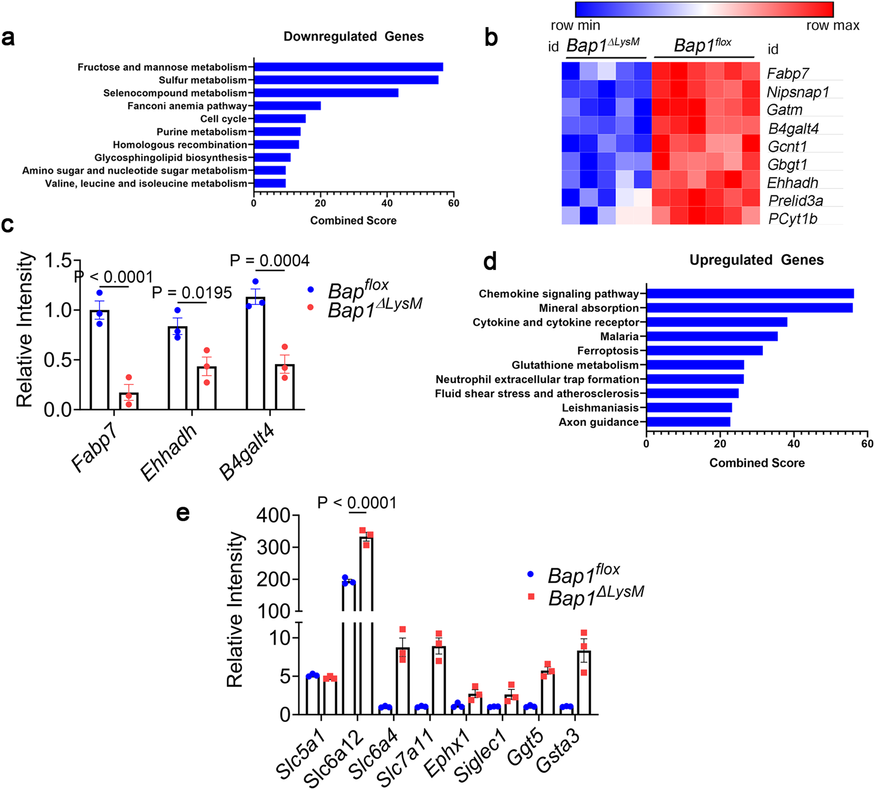 Fig. 4: BAP1 regulates osteoclast transcription.