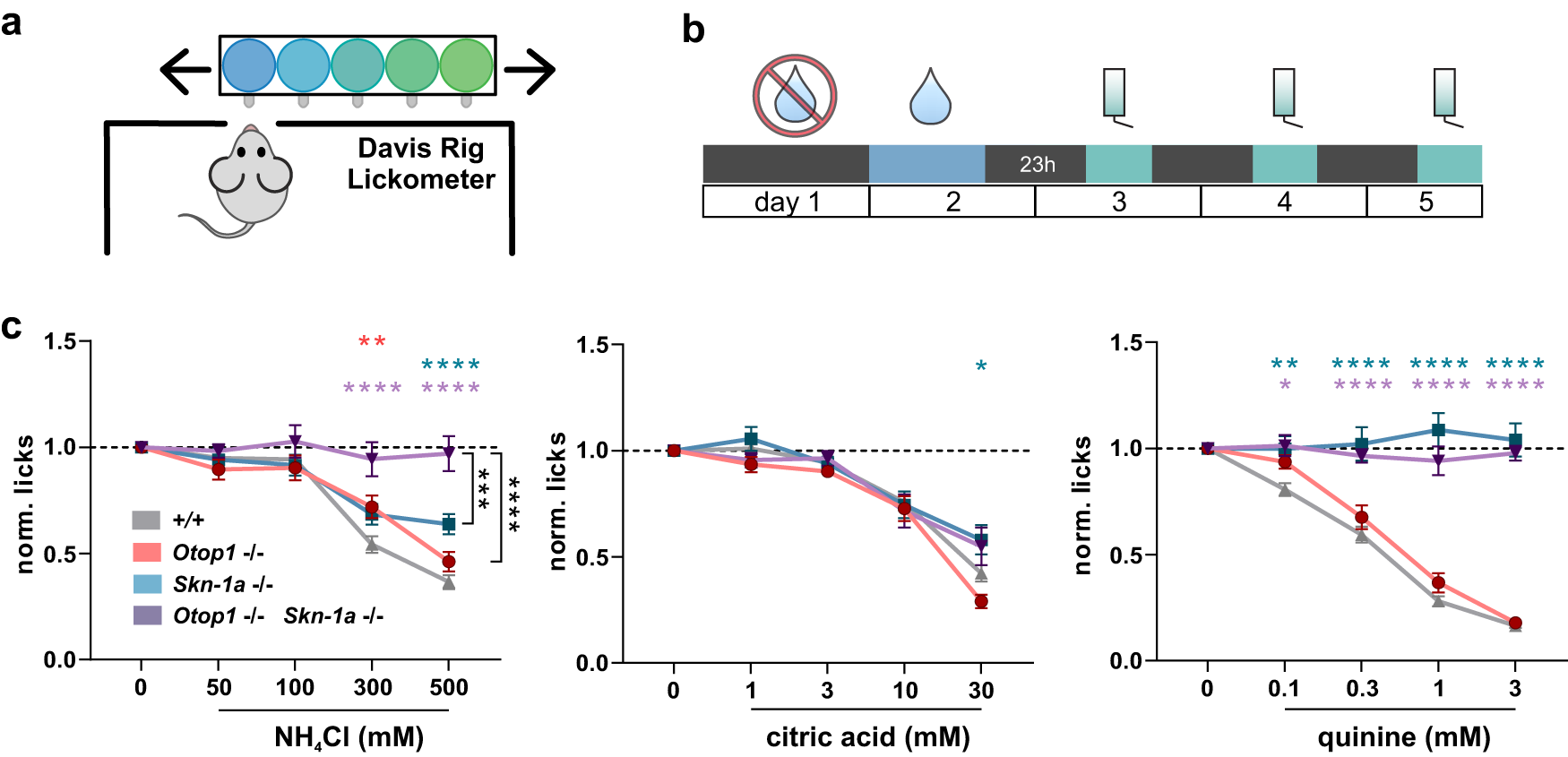 Fig. 6: OTOP1 is necessary for the behavioral aversion to NH4Cl mediated by Type III TRCs.