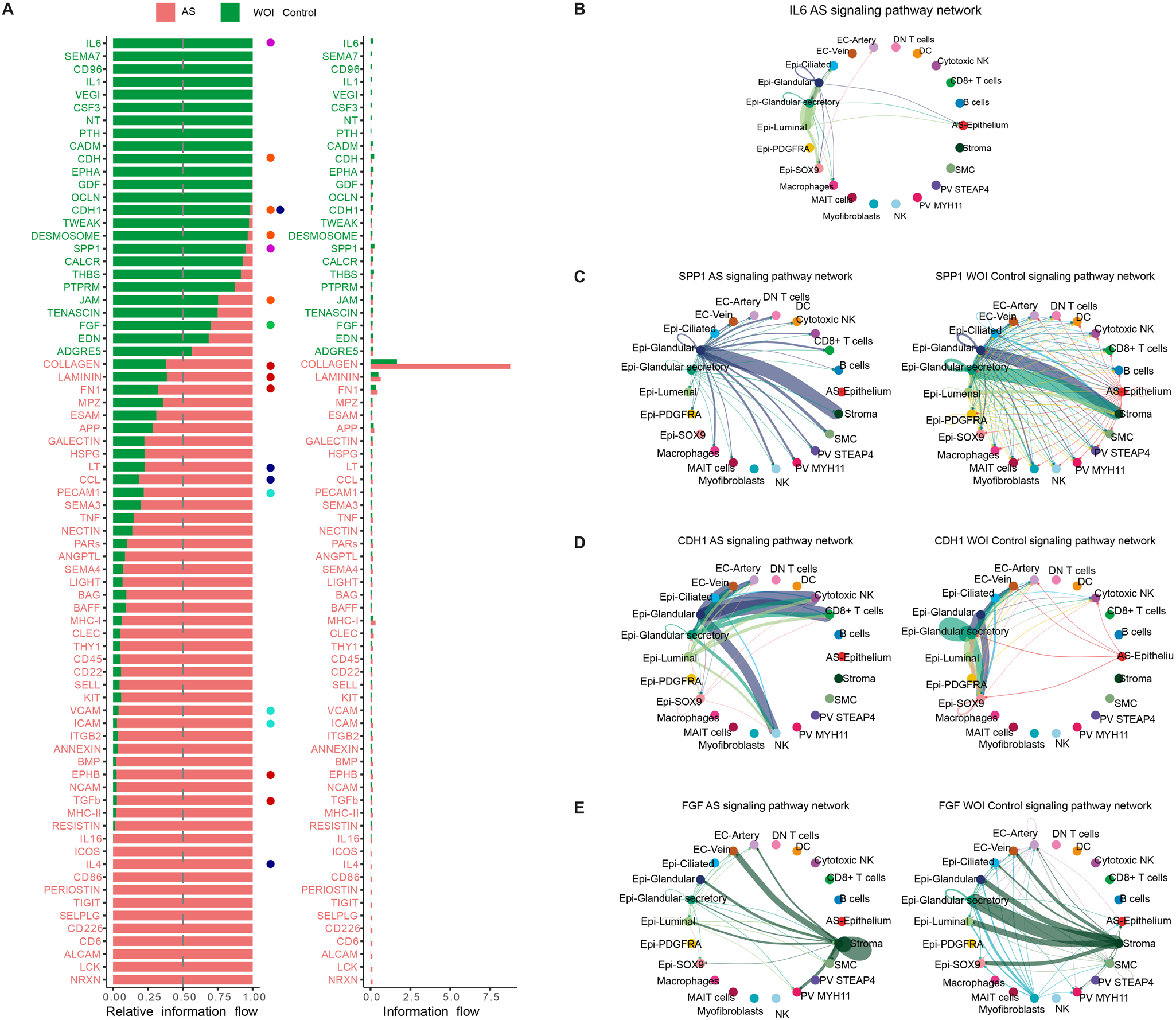 Fig. 5: Molecular profiling and refined cell-to-cell communication analysis of Asherman’s syndrome compared to control endometria during the window of implantation.