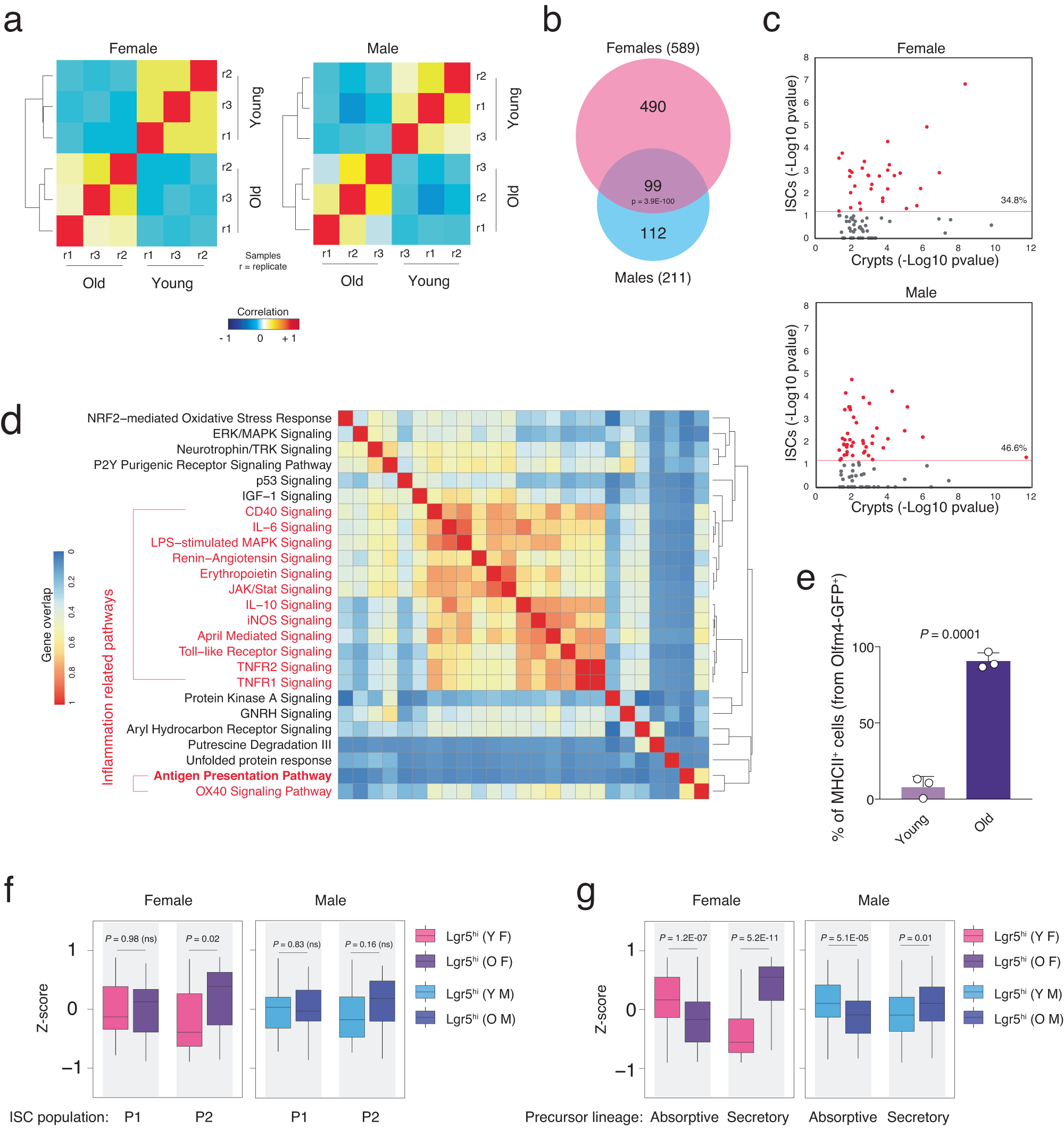 Fig. 2: Inflammation-related pathways are enriched at the intestinal stem cell level.