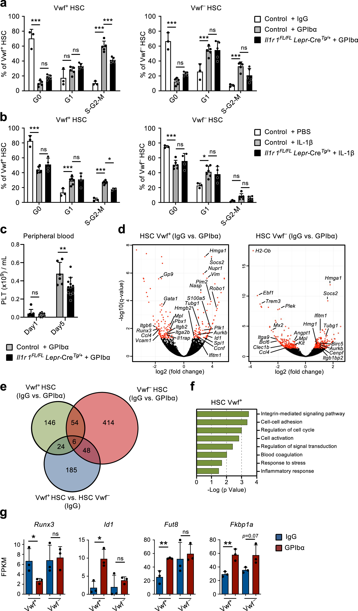 Fig. 5: IL-1-dependent activation of perivascular bone marrow stromal cells enhance Vwf + HSC activity in response to platelet depletion.