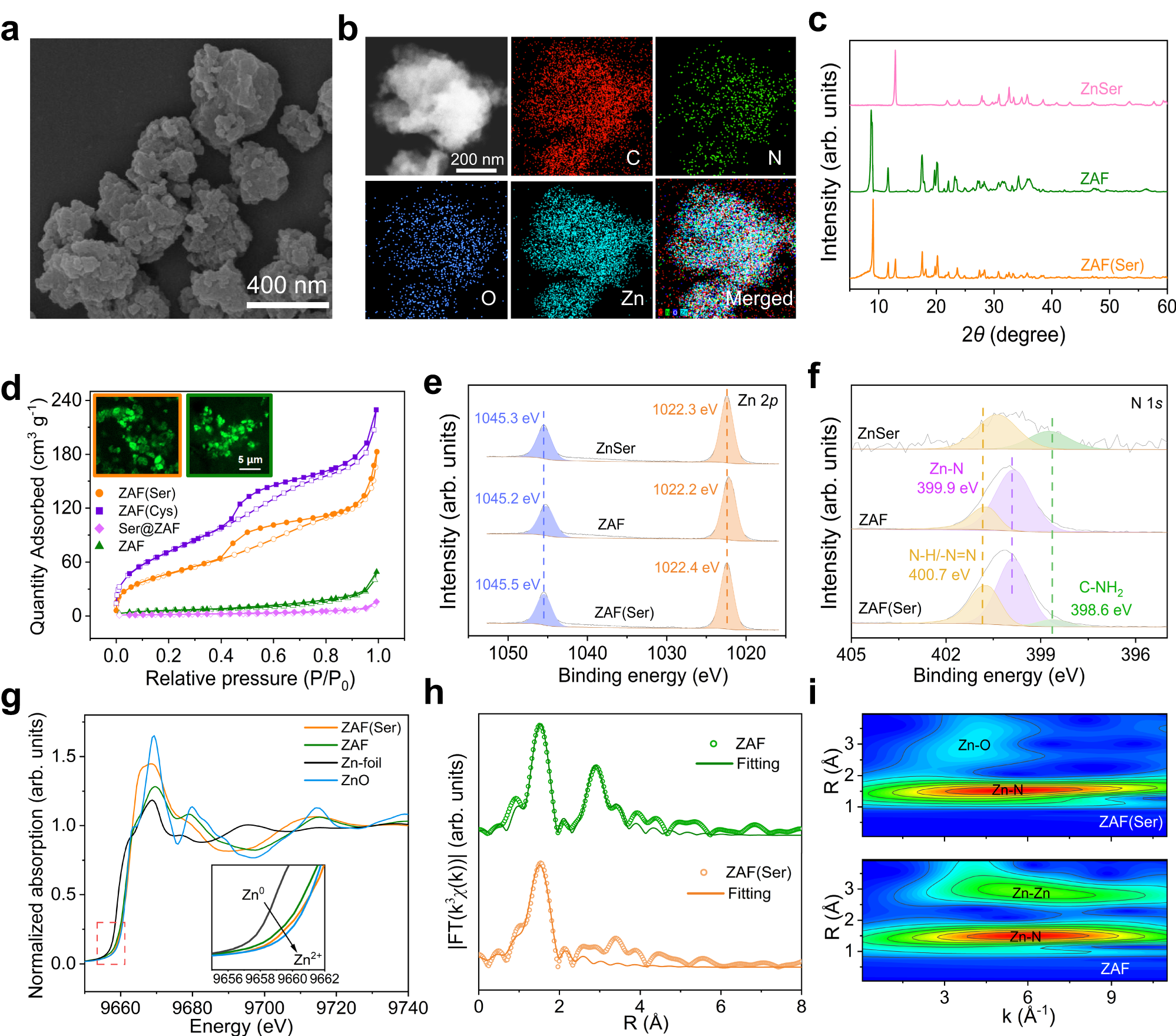 Fig. 2: Structural characterization of ZAF(Ser).