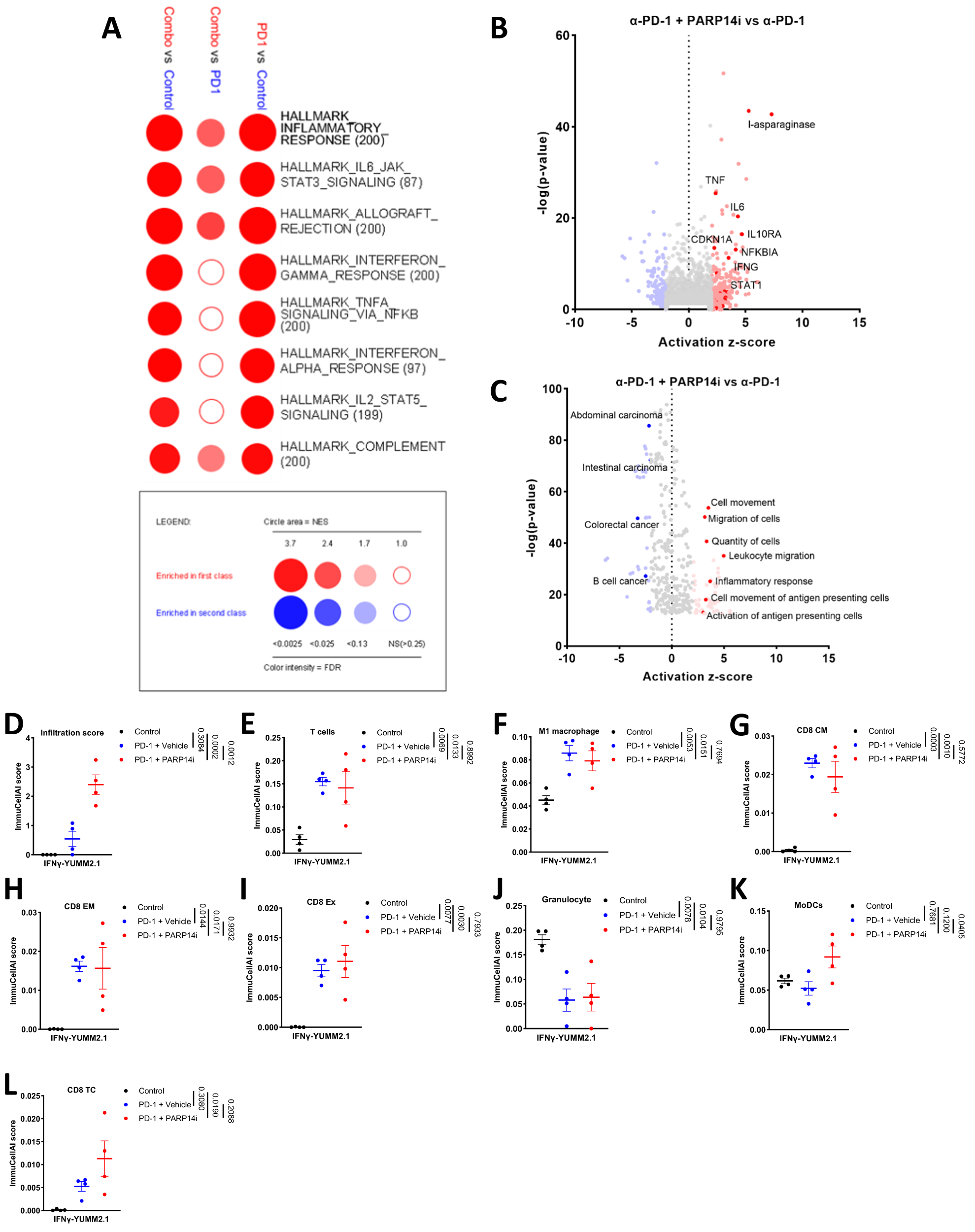 Fig. 7: Combination treatment with α-PD-1 and PARP14 inhibition induces an inflammatory response.