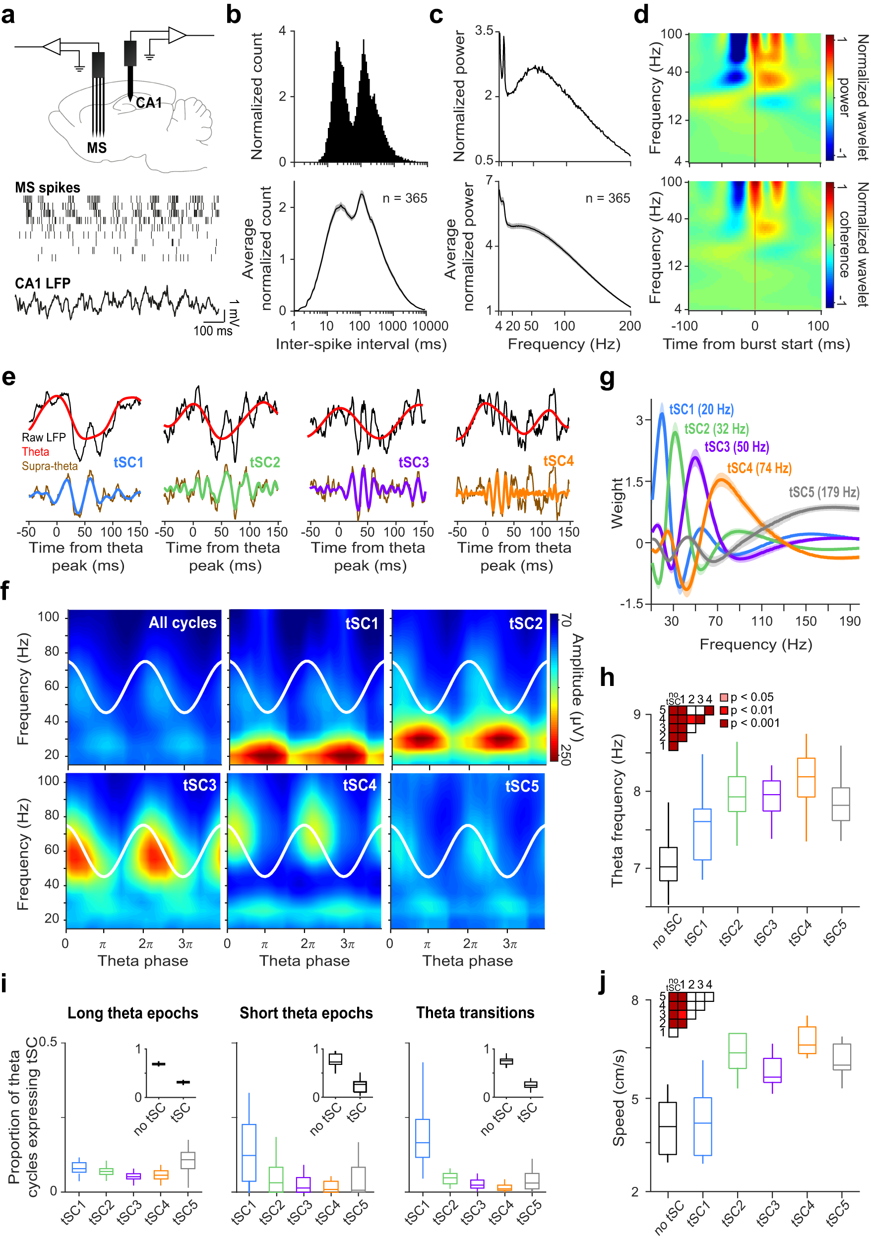 A) Mean (+S.E.M.) frequency of gaping responses expressed by groups