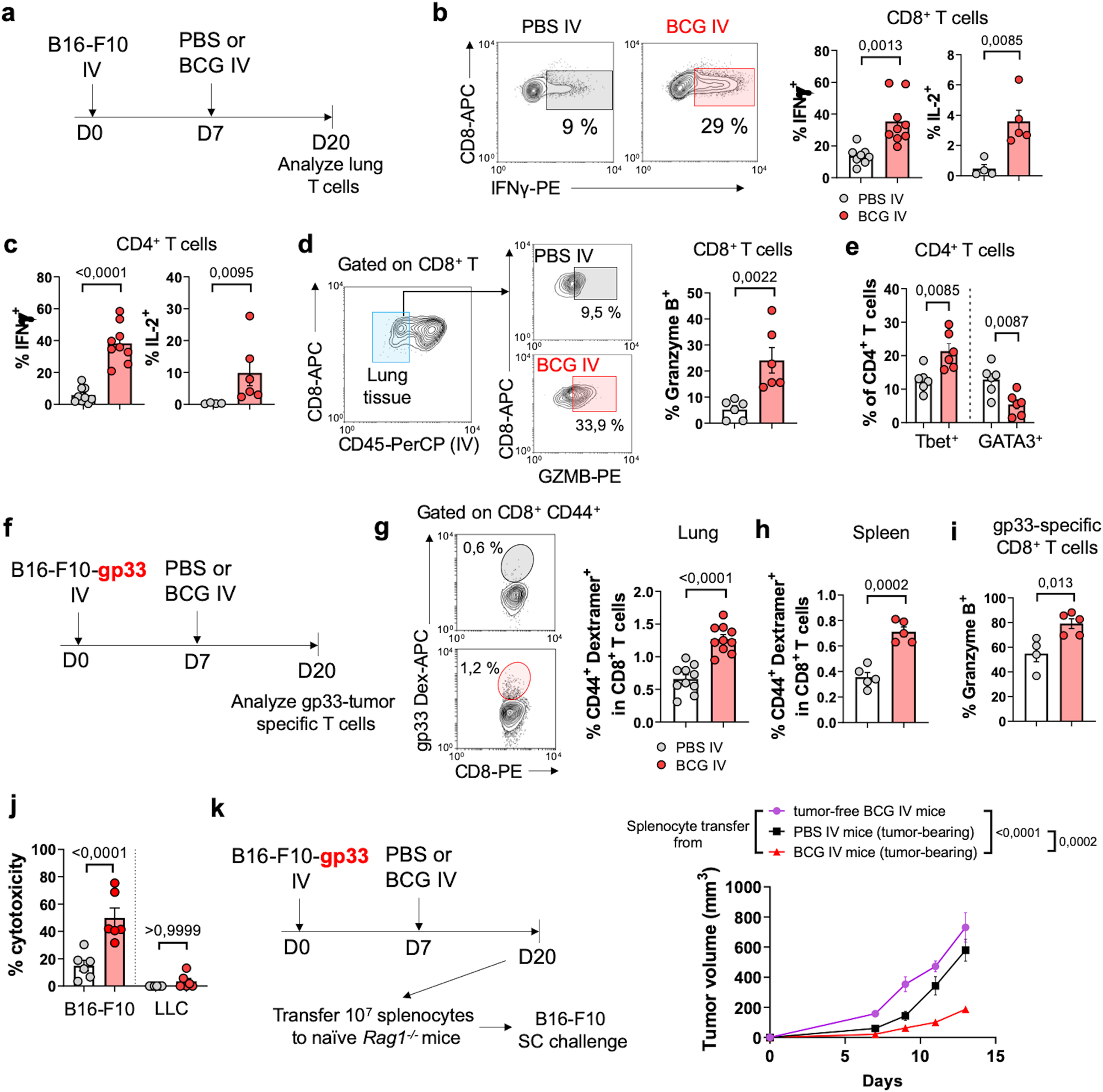 Fig. 3: Stimulation of T cell function in the lung by IV BCG.