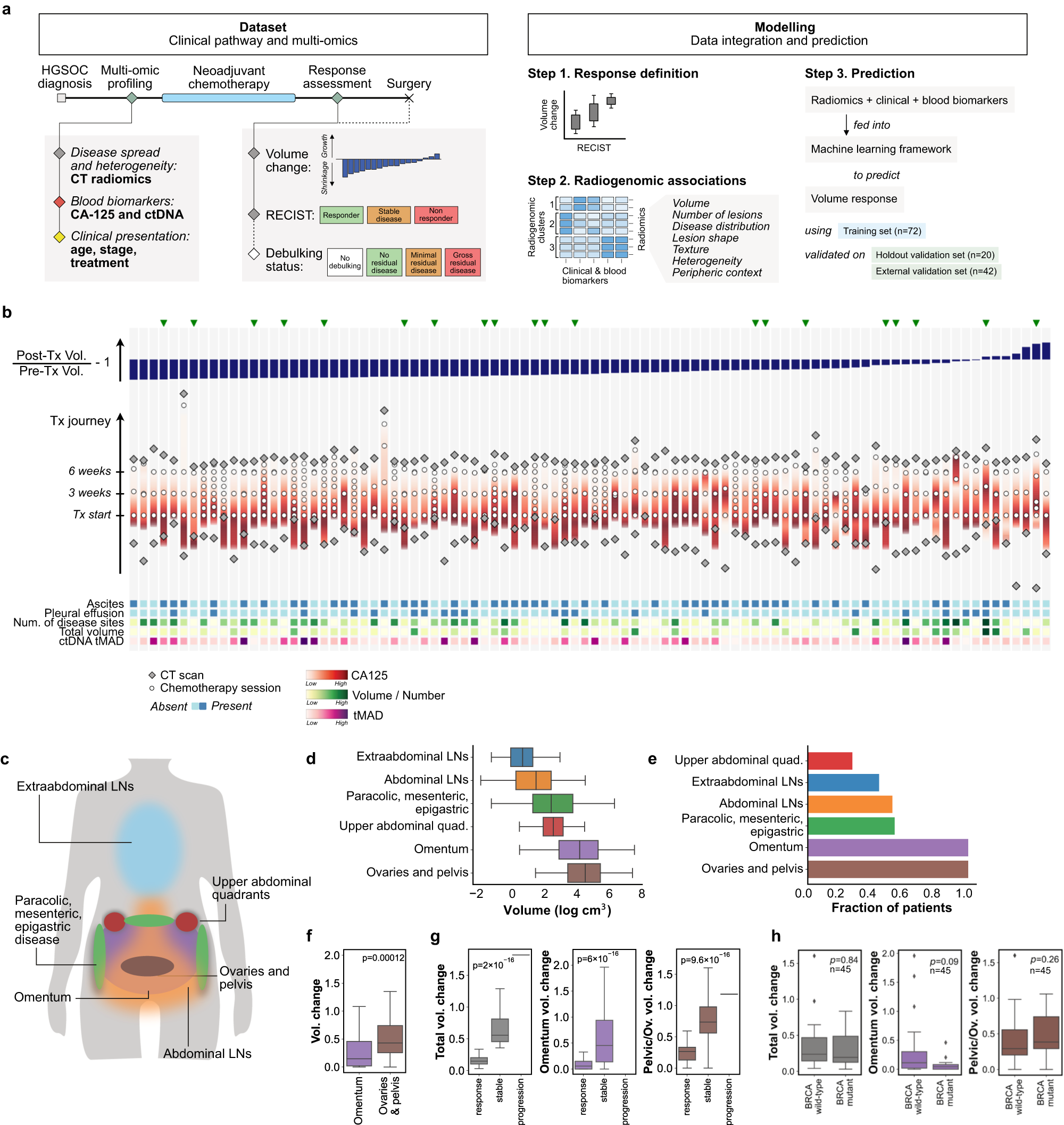 Fig. 1: Structure of the study and main characteristics of the training cohort.