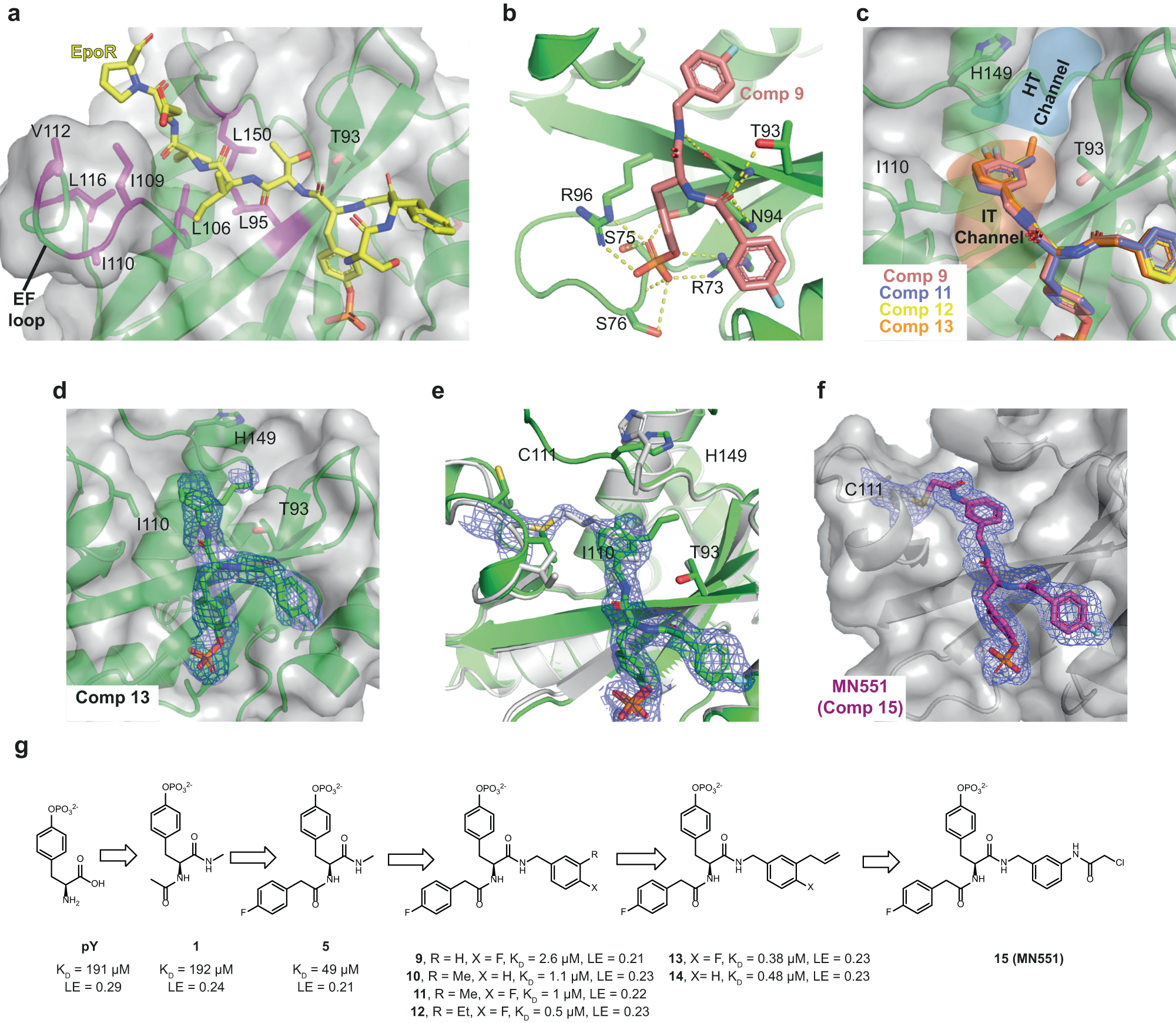 Design and Synthesis of Ligand Efficient Dual Inhibitors of Janus