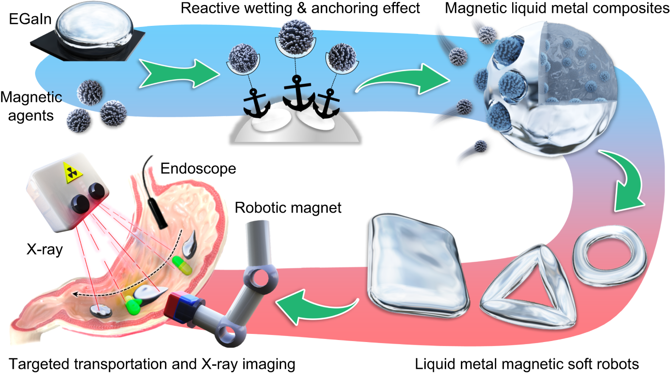 Fig. 1: Scheme of the preparation of liquid metal-based magnetic miniature soft robot via reactive wetting and anchoring effect.