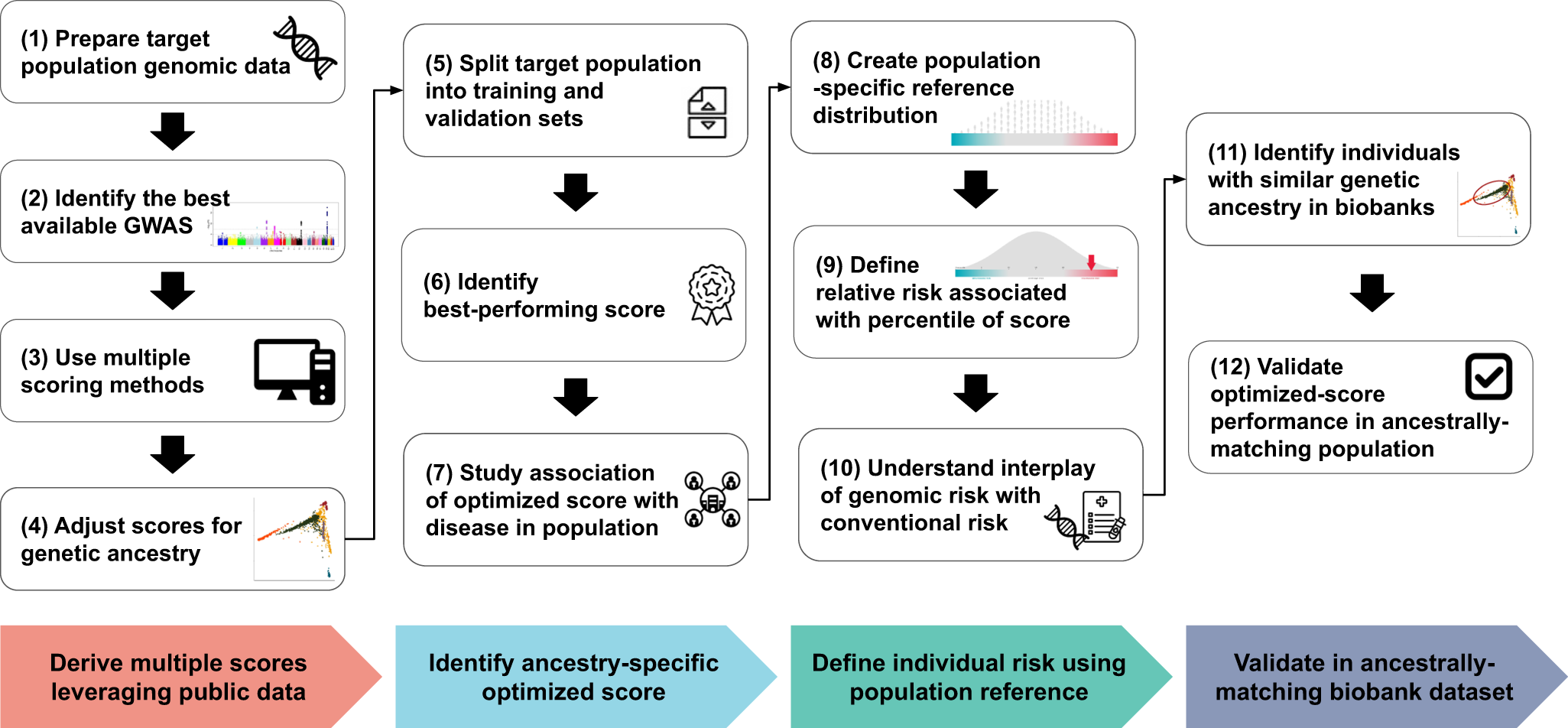 Fig. 1: Framework for optimizing polygenic scores for a new population.
