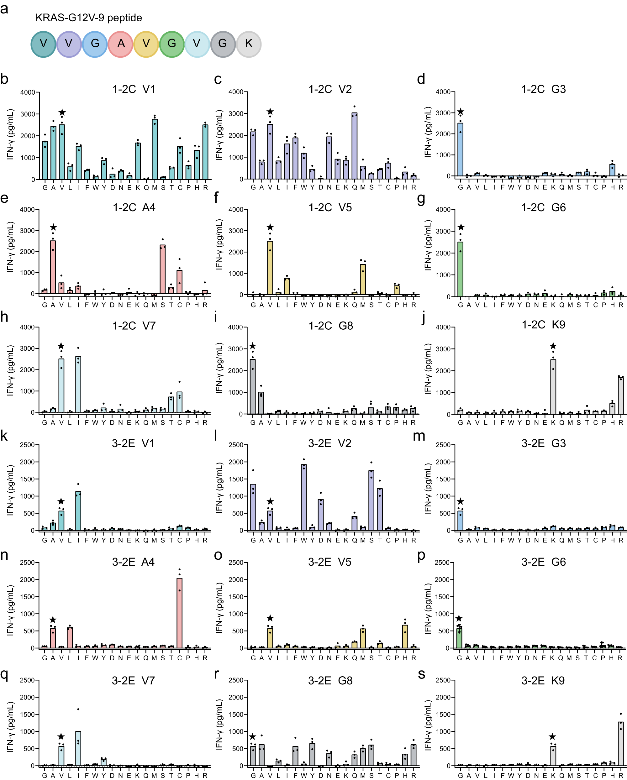 Fig. 4: Specificity of 1-2C and 3-2E TCR-T cells to combinatorial peptide library screening of KRAS-G12V-9.