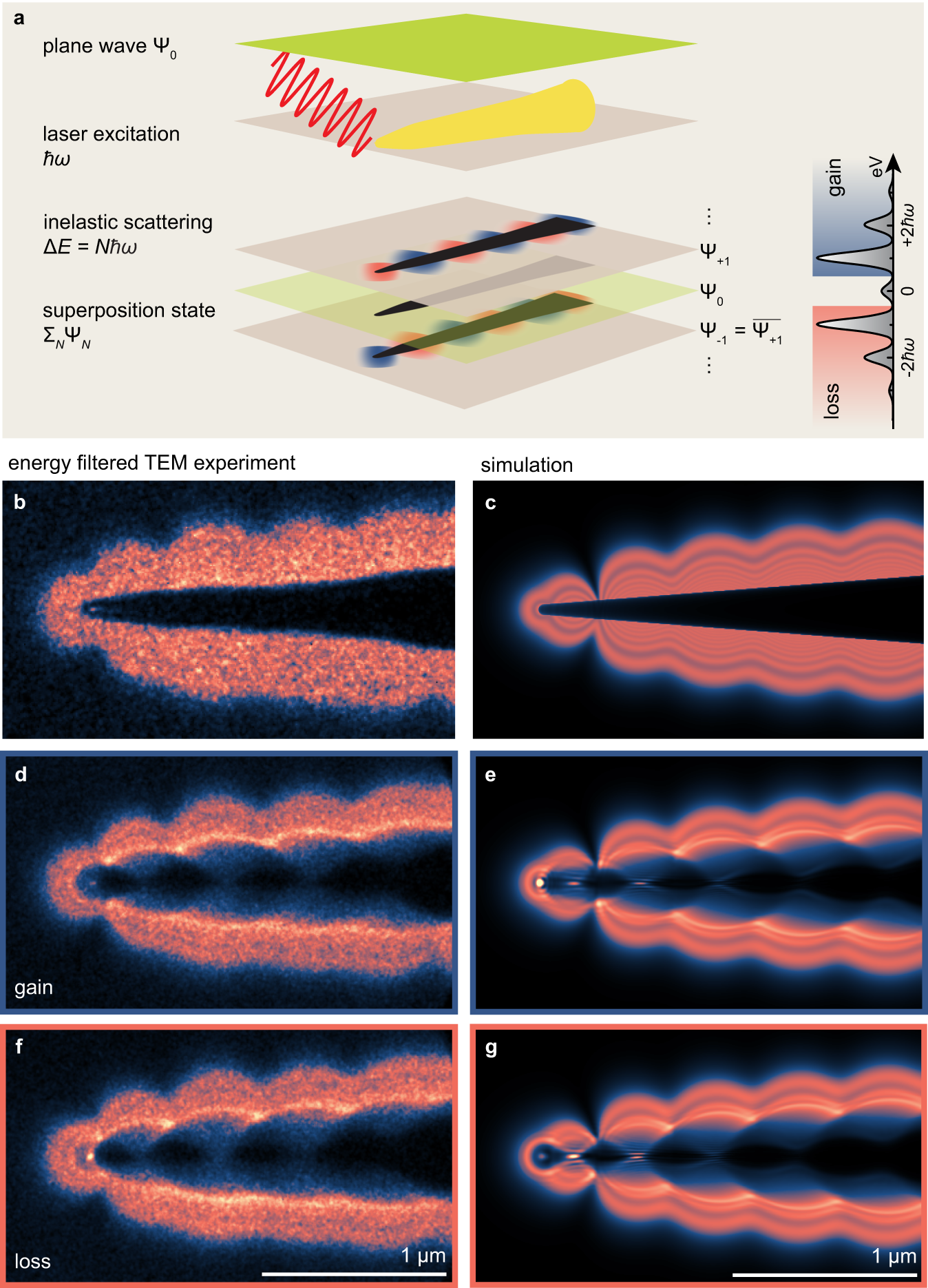 Fig. 3: Optical near-field Lorentz contrast at a gold nanotip.