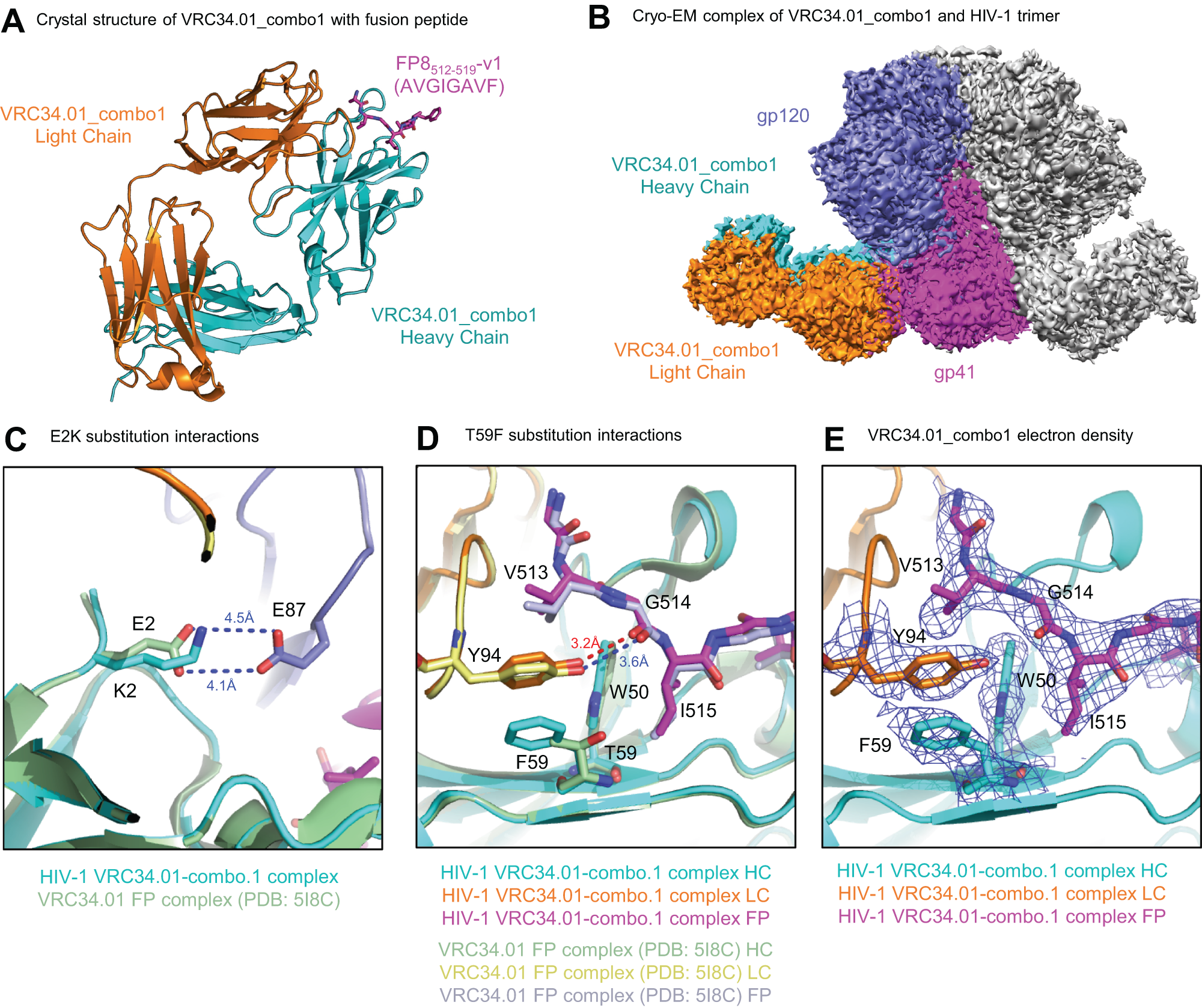 Fig. 3: Structural basis for VRC34.01-Combo1’s recognition of diverse FP.