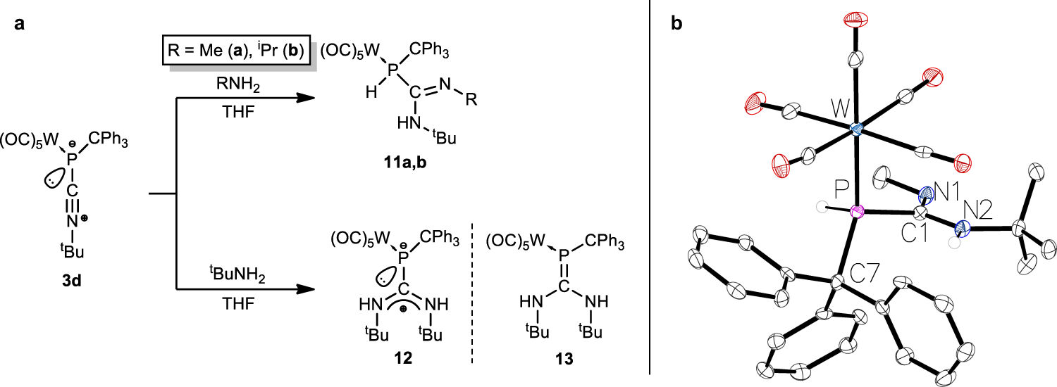 Fig. 5: 1,2-Addition reactions of amines.