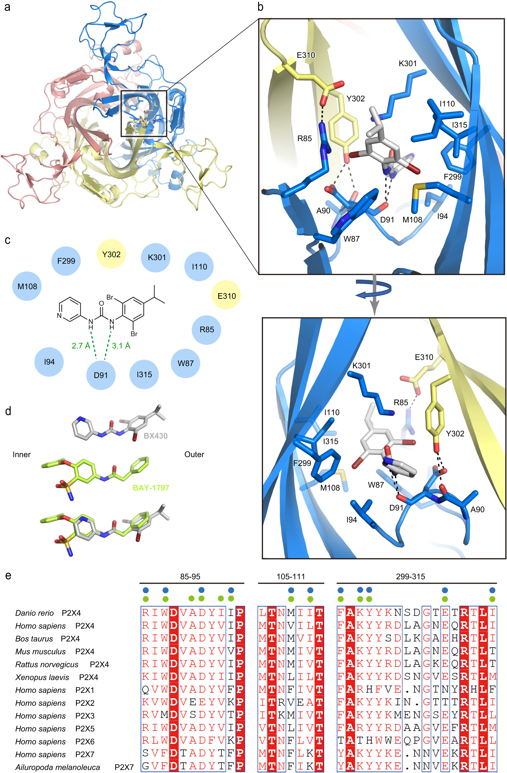 Fig. 2: BX430 binding pocket.