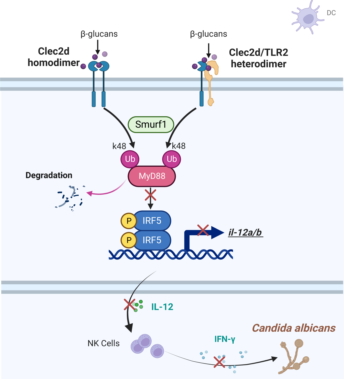 Fig. 8: Schematic diagram of the mechanism.