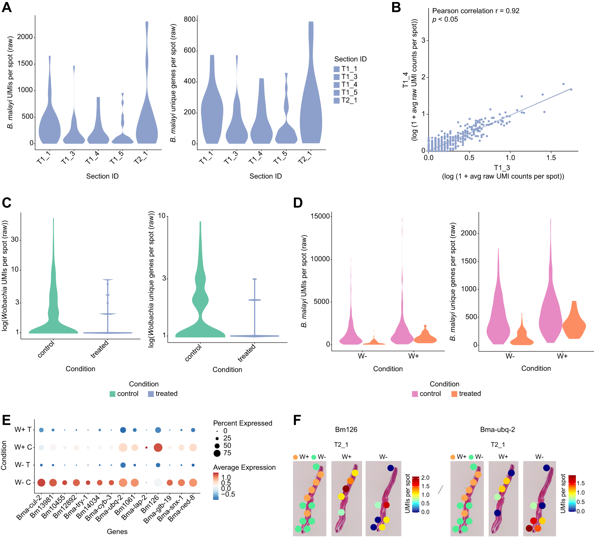 Fig. 6: Transcriptomic shifts under doxycycline treatment.