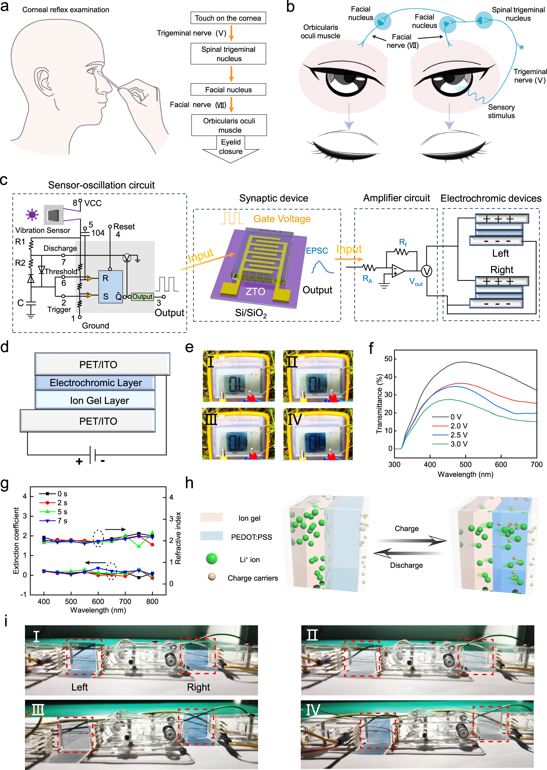 Fig. 4: An artificially-intelligent cornea with tactile sensation.