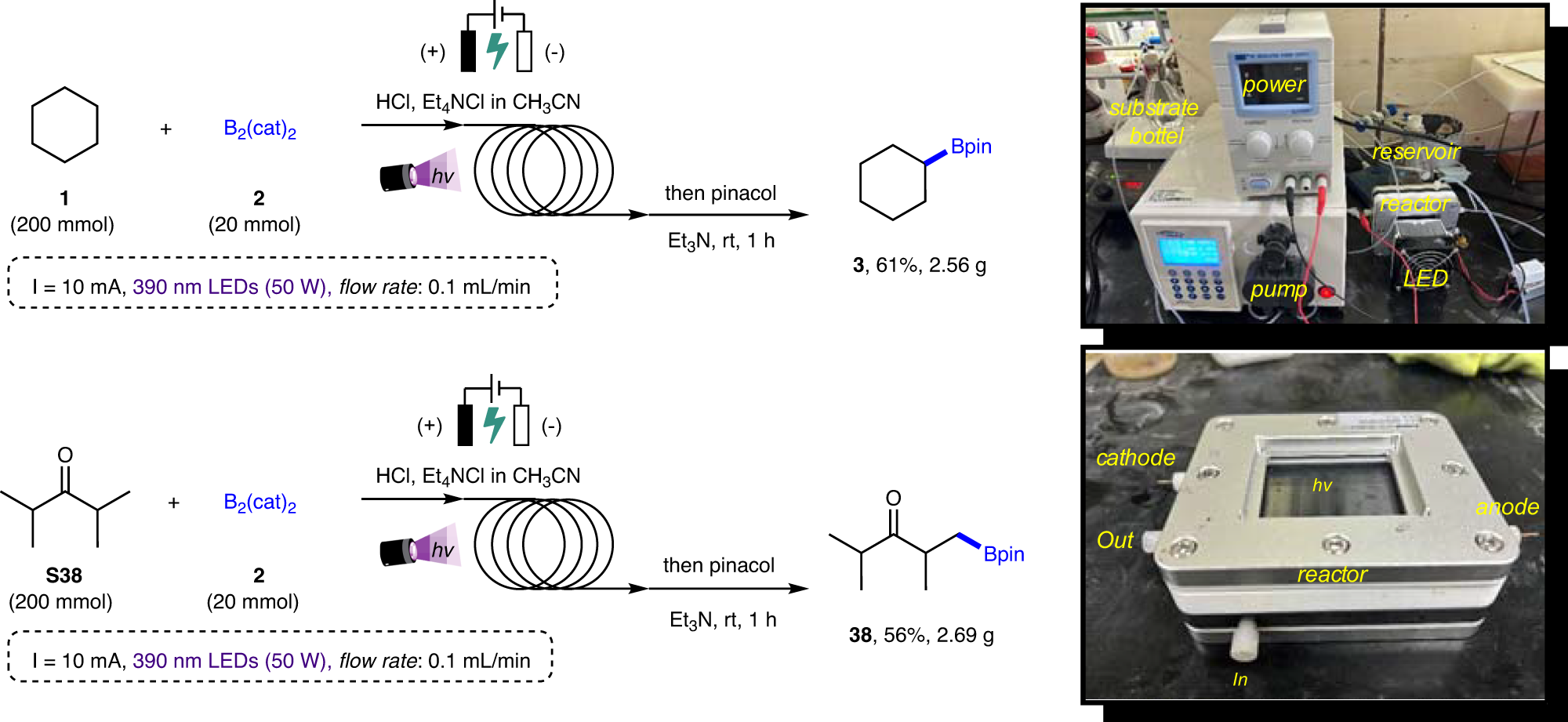 Fig. 3: Gram-scale reaction in continuous-flow.