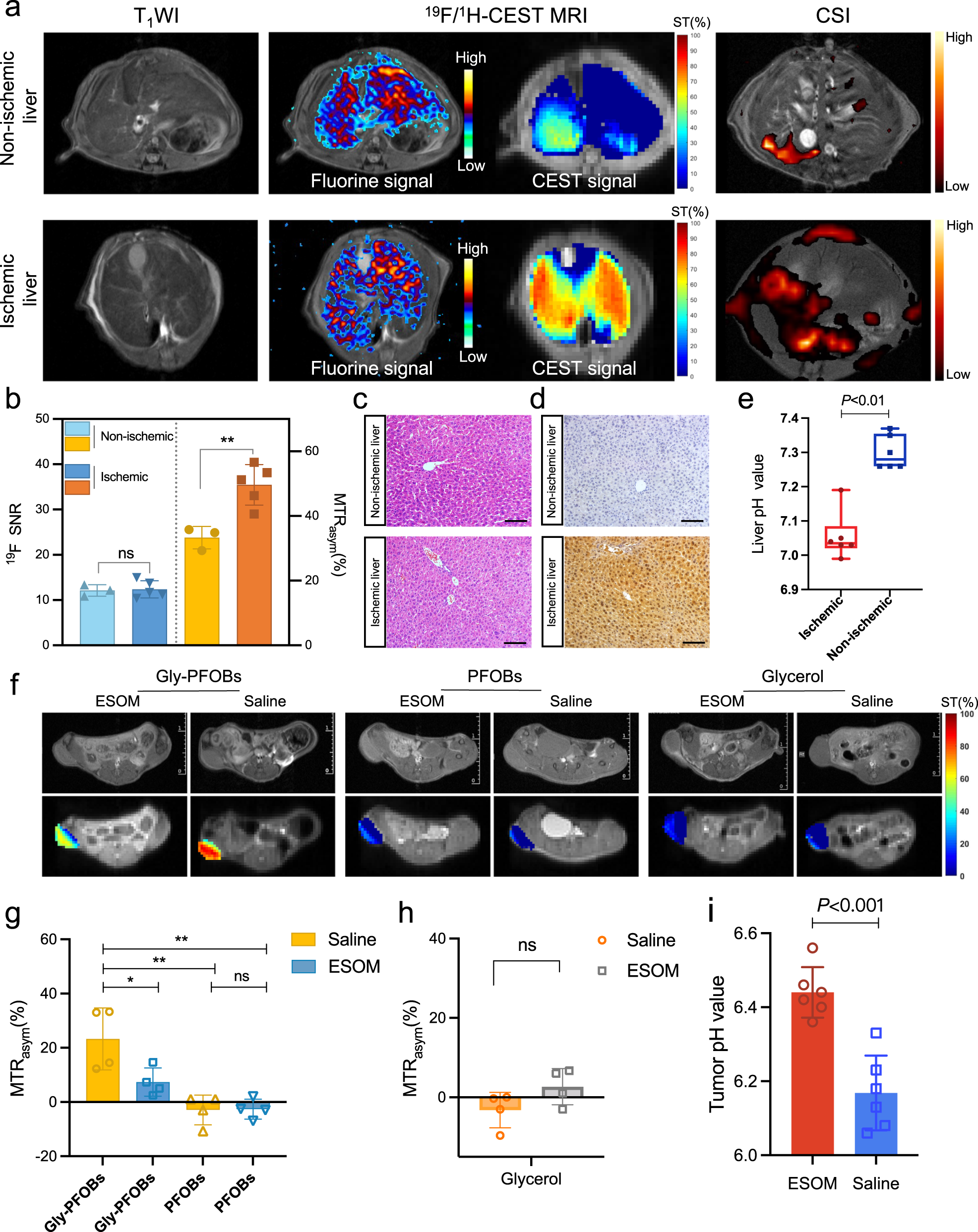 Fig. 4: Detection of in vivo pH changes.