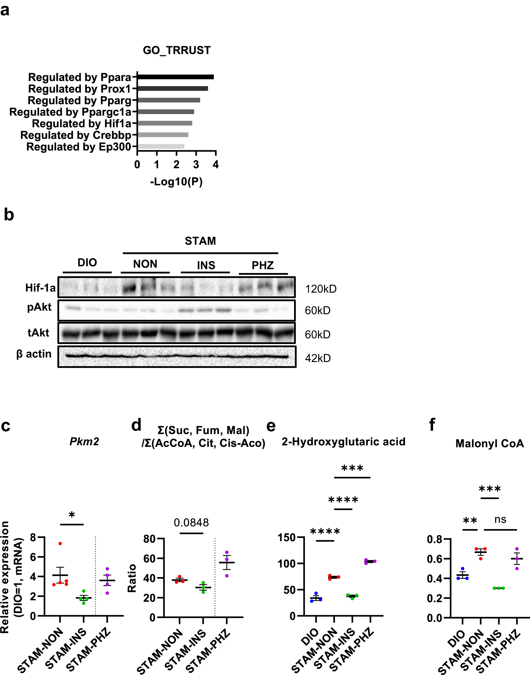 Fig. 3: Suppression of Warburg effect by insulin treatment in STAM mice.