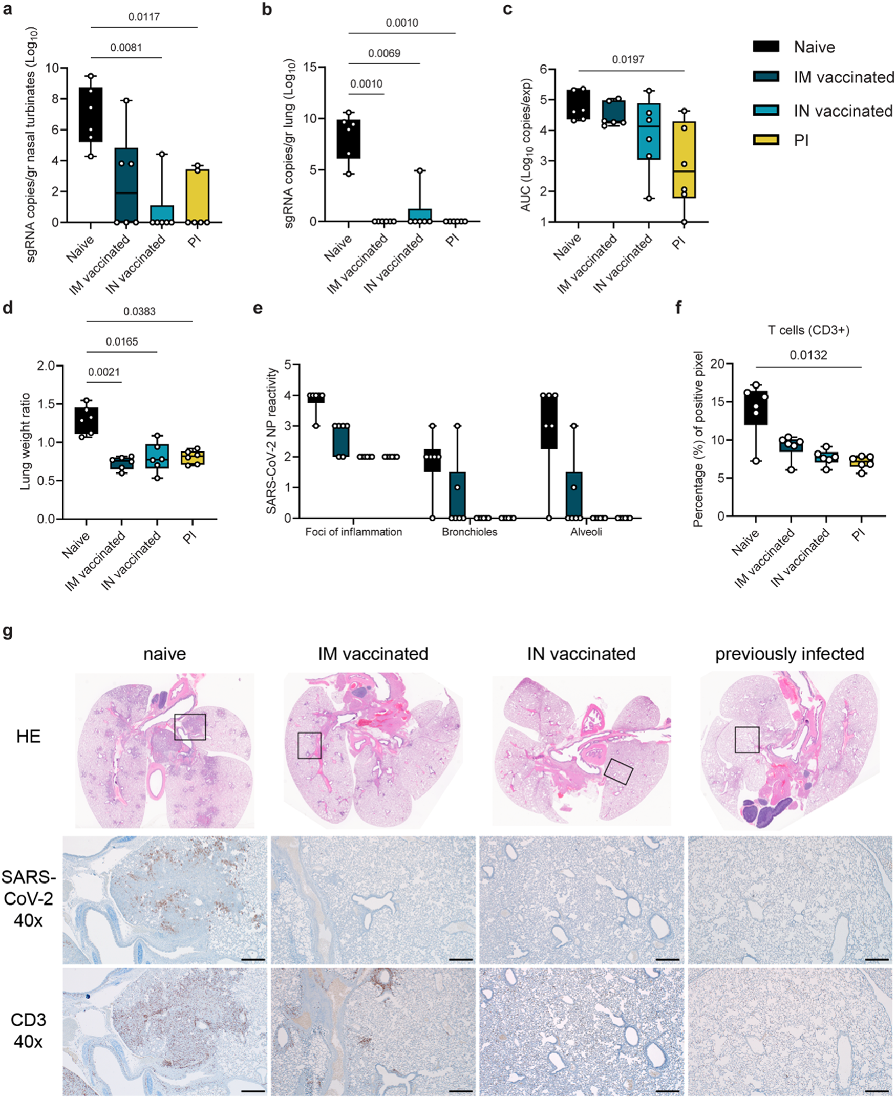 Infection- or AZD1222 vaccine-mediated immunity reduces SARS-CoV-2  transmission but increases Omicron competitiveness in hamsters | Nature  Communications