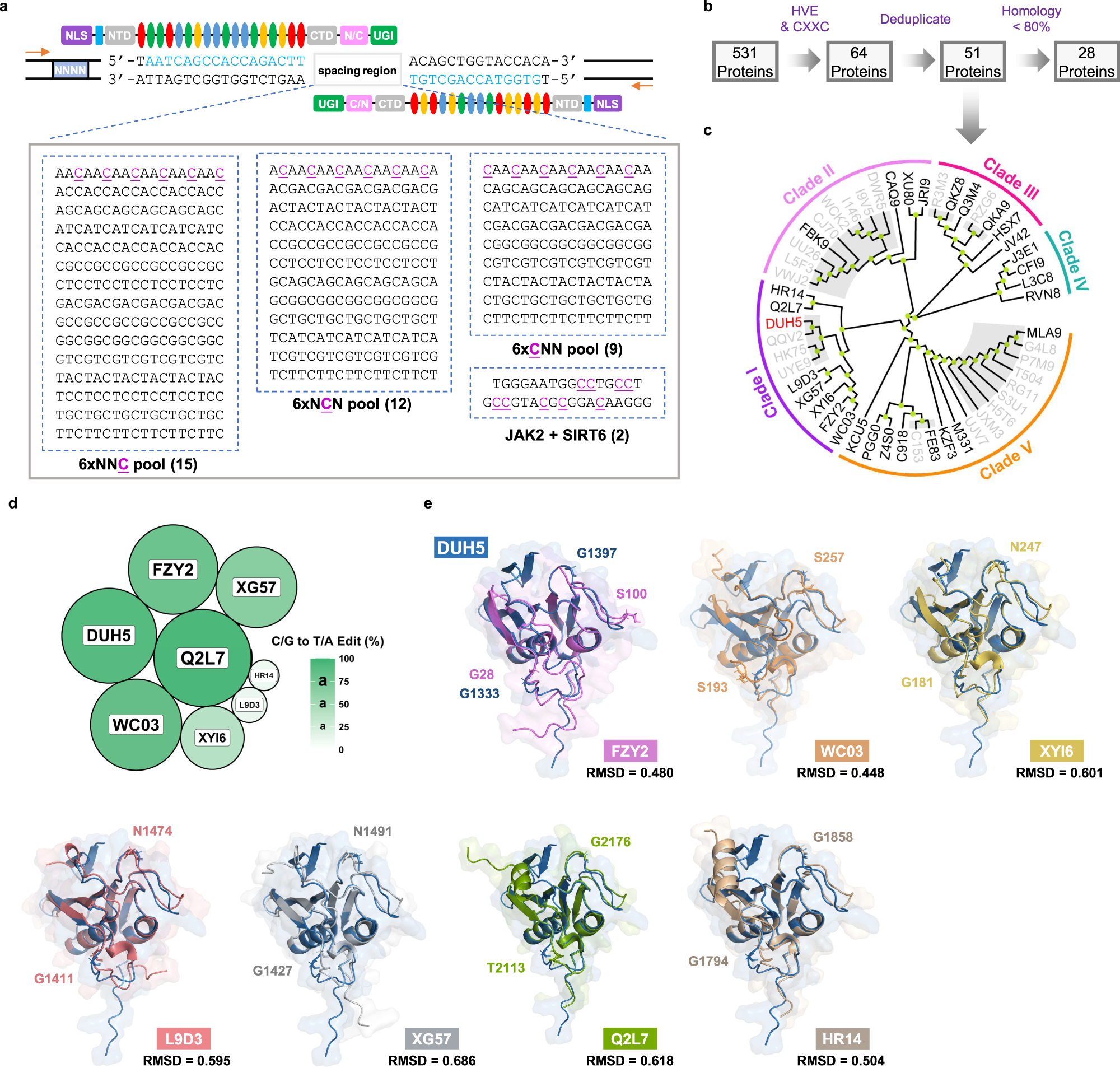 Developing mitochondrial base editors with diverse context compatibility  and high fidelity via saturated spacer library | Nature Communications
