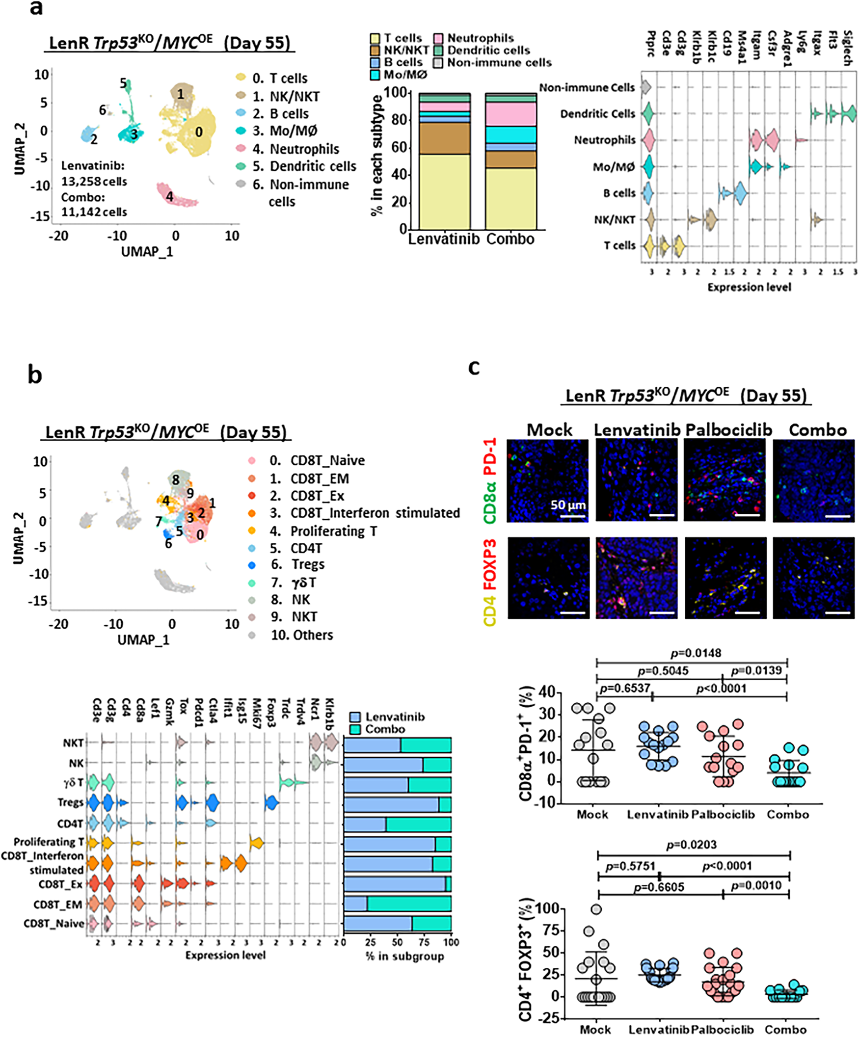 Fig. 10: The effect of palbociclib/lenvatinib treatment in modulating the tumor micro-environment in the lenvatinib-resistant Trp53KO/MYCOE immune-competent mouse model.