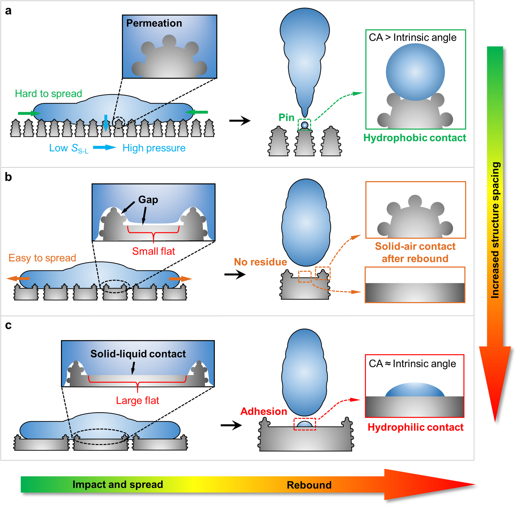 Fig. 3: Contact characteristics of solid-liquid interface and droplet dynamic behaviors on microstructures with different DS.