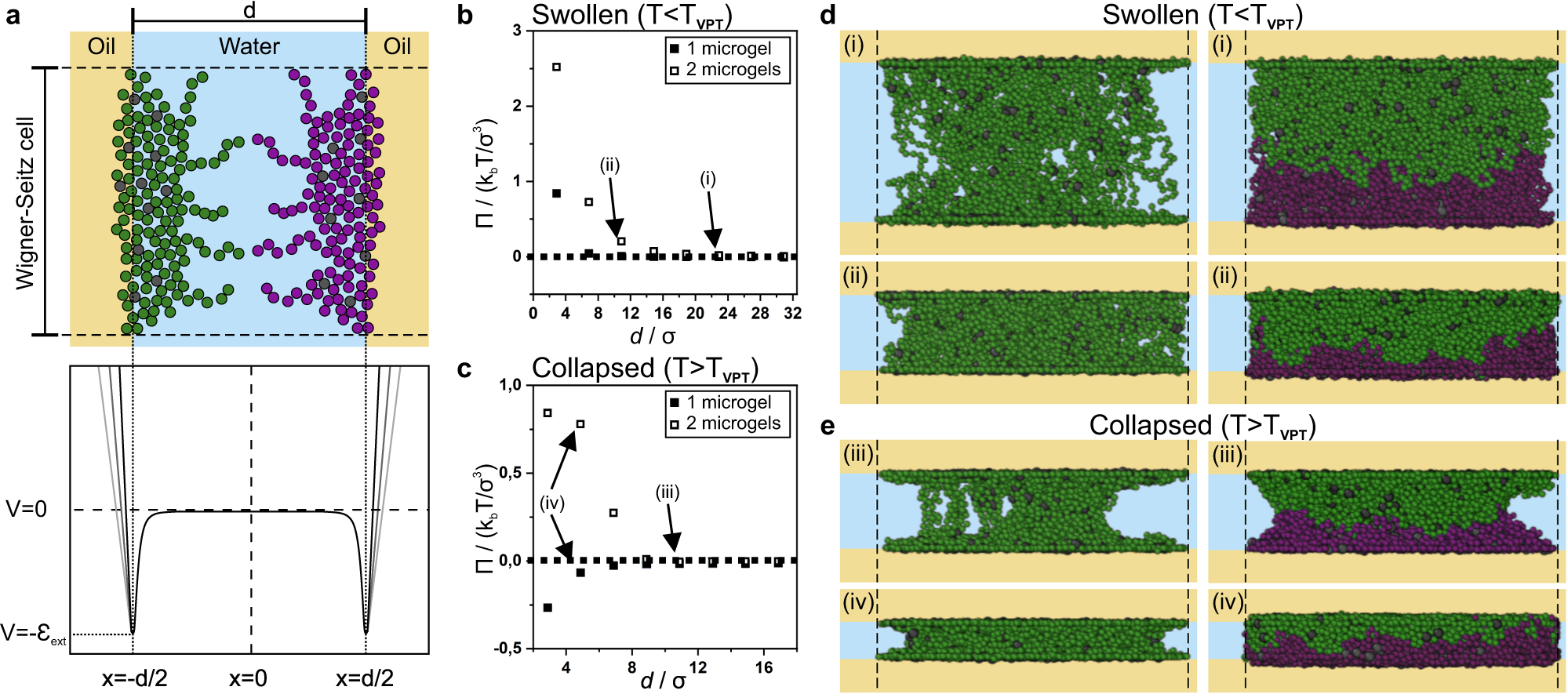 Fig. 4: Monomer-resolved Brownian dynamics simulations of regular thermo-responsive microgels confined between two planar liquid interfaces and a Wigner-Seitz cell.