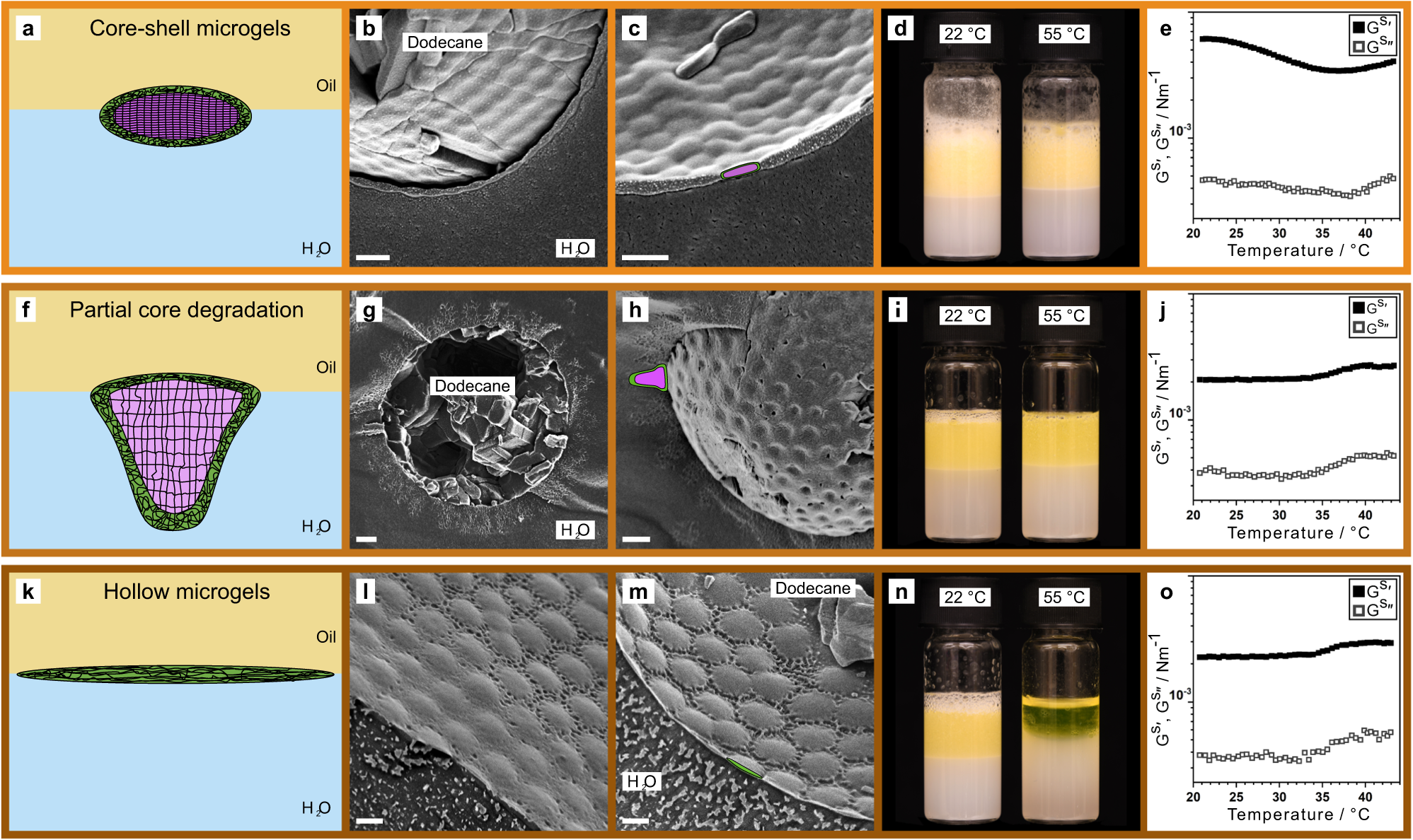 Fig. 6: Emulsion stability in relation to the microgel internal architecture and characteristic interfacial morphology.