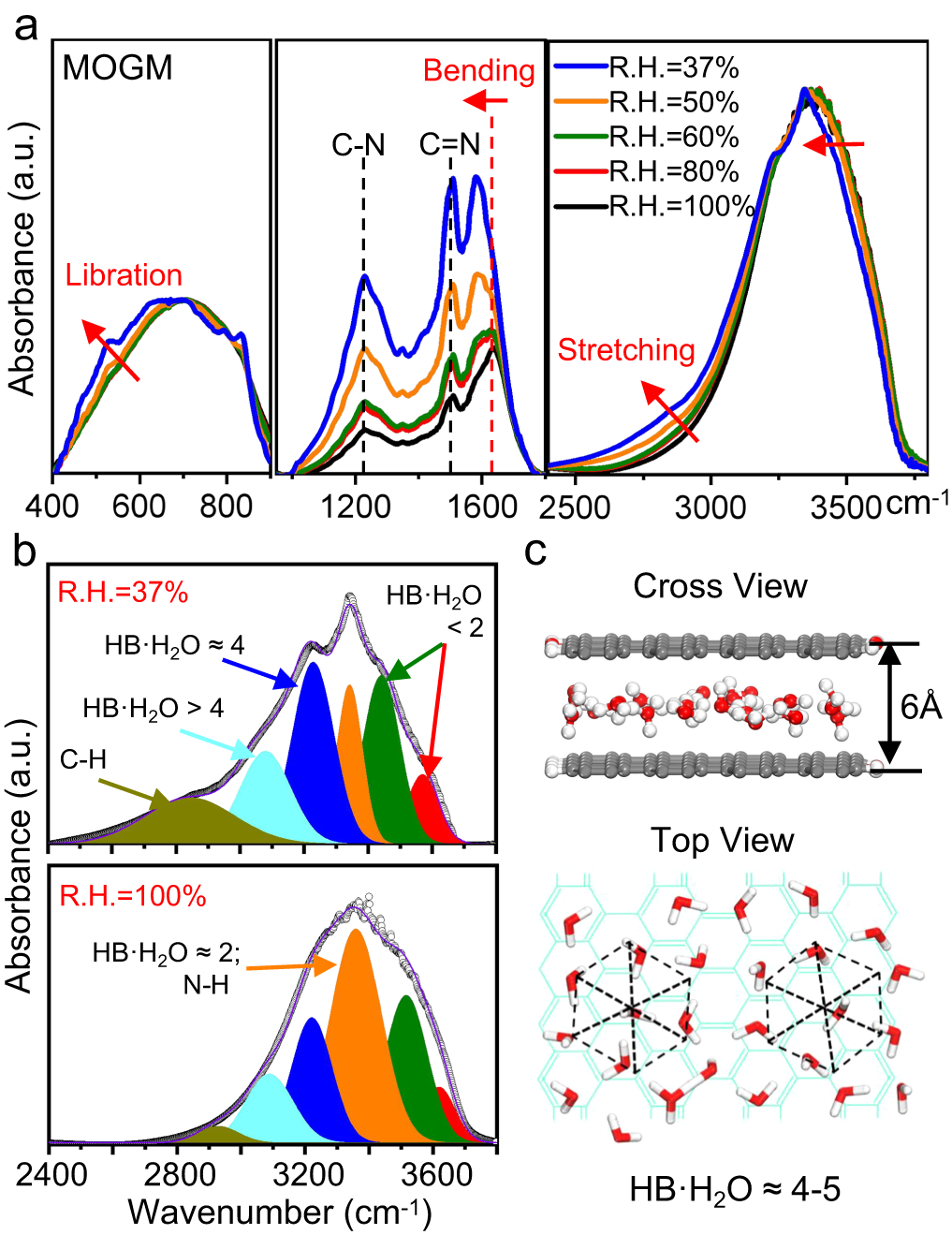 Fig. 4: Arrangement of water molecules within atomic-scale graphene capillaries of MOGMs.