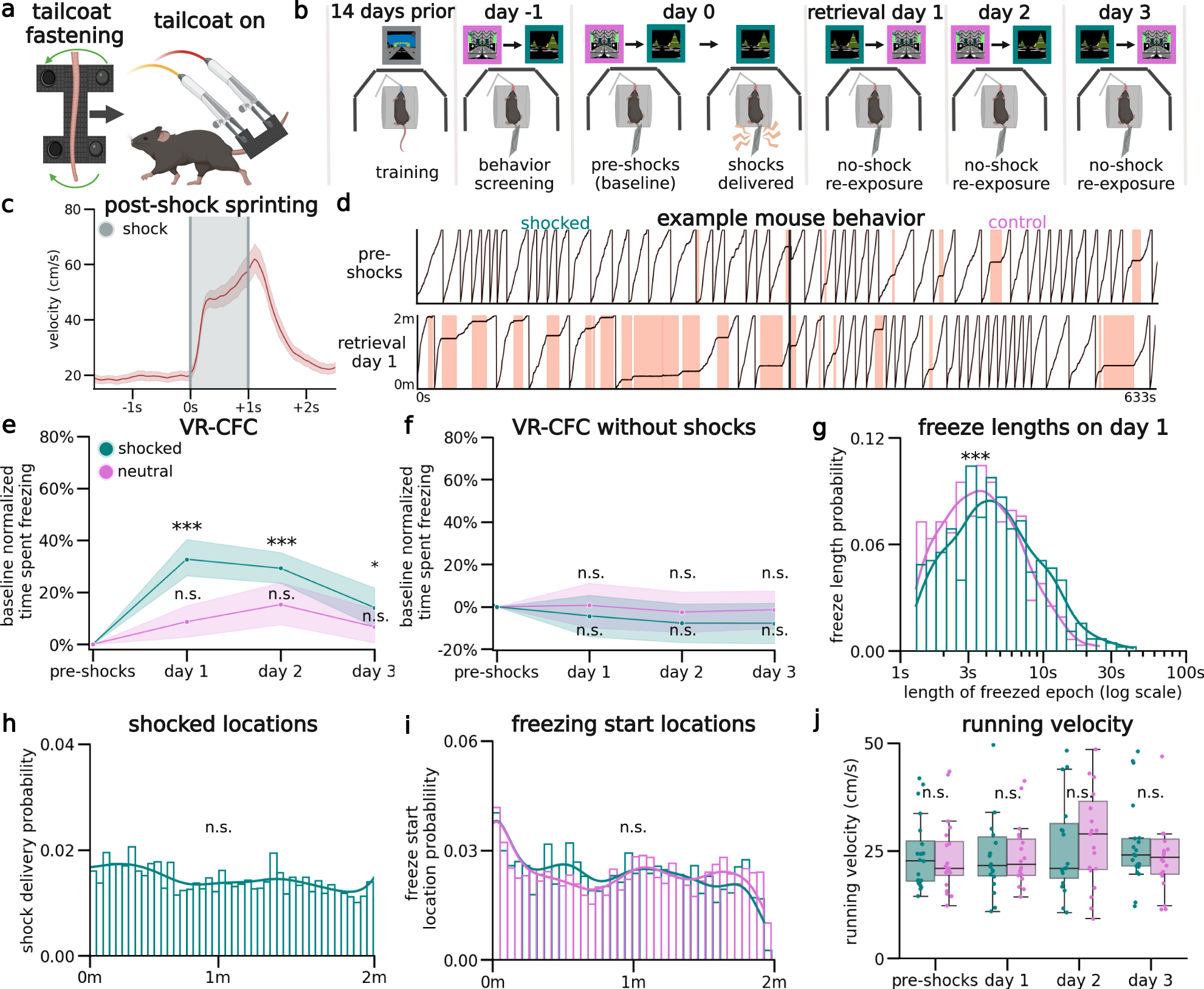 A thalamic-hippocampal CA1 signal for contextual fear memory suppression, extinction, and discrimination | Nature Communications a-thalamic-hippocampal-ca1-signal-for-contextual-fear-memory-suppression-extinction-and-discrimination-nature-communications