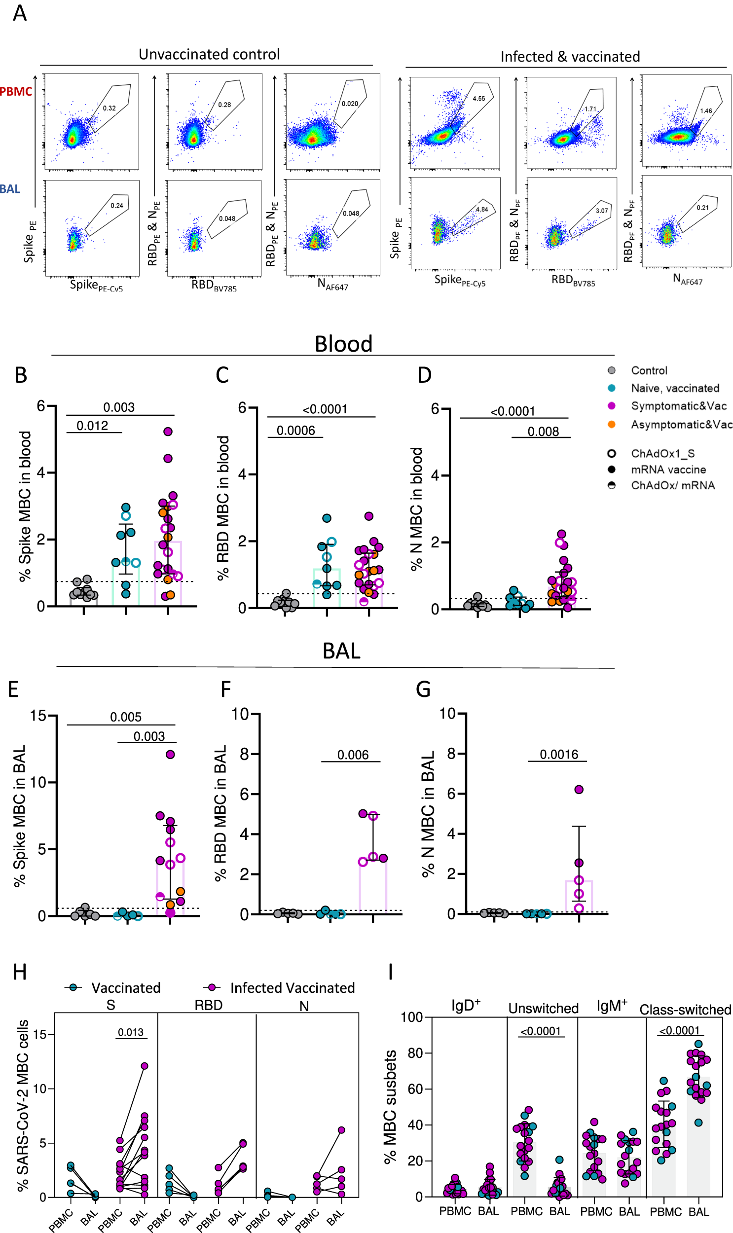 Fig. 2: Detectable anti-SARS-CoV-2 memory B cell responses in the lung mucosa following infection and vaccination.