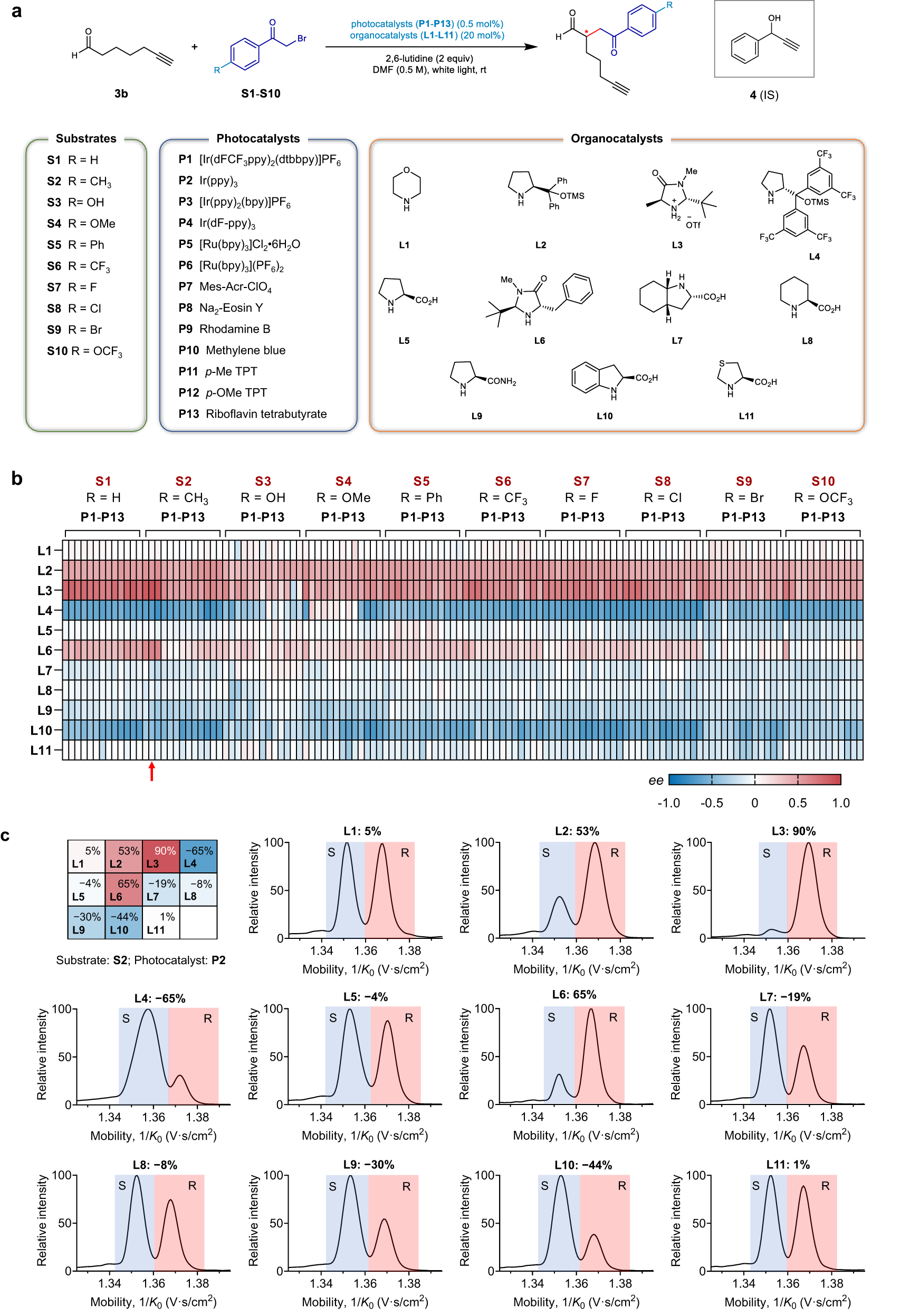Fig. 3: Combinatorial screening of the direct α-asymmetric alkylation of aldehydes merged with photoredox catalysis and organocatalysis.