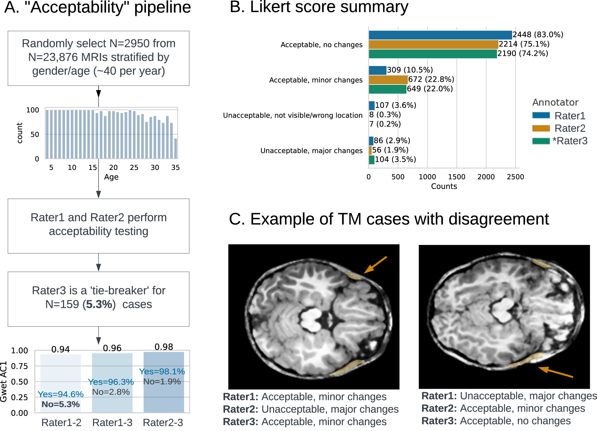 Fig. 2: Acceptability testing pipeline.