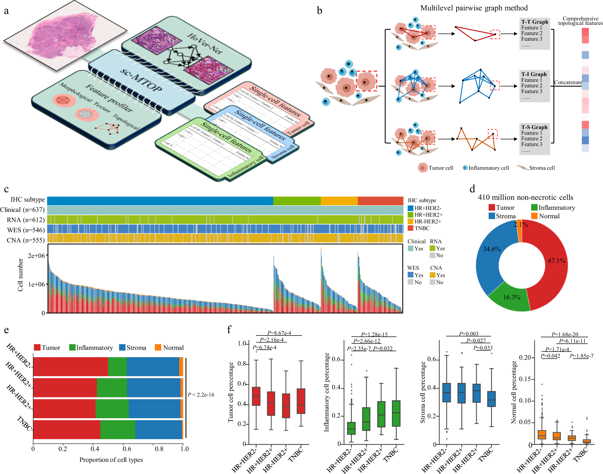 Exploring the significance of morphological diversity for