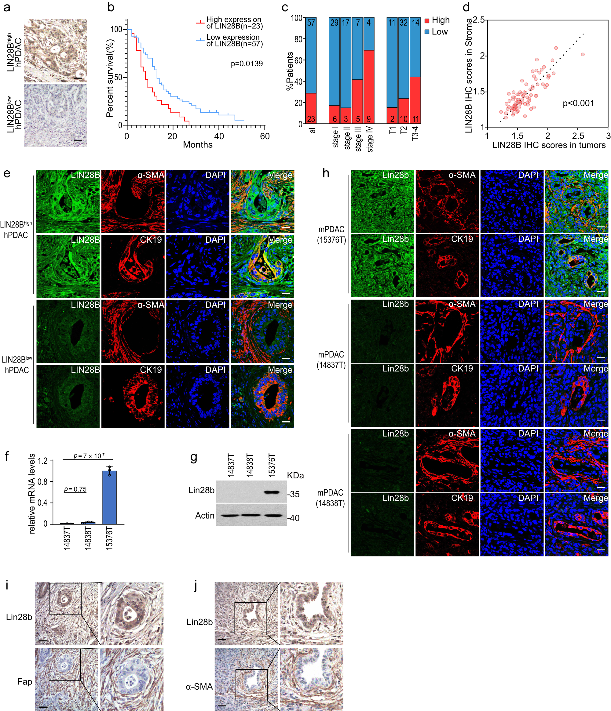 https://media.springernature.com/full/springer-static/image/art%3A10.1038%2Fs41467-023-42508-8/MediaObjects/41467_2023_42508_Fig1_HTML.png