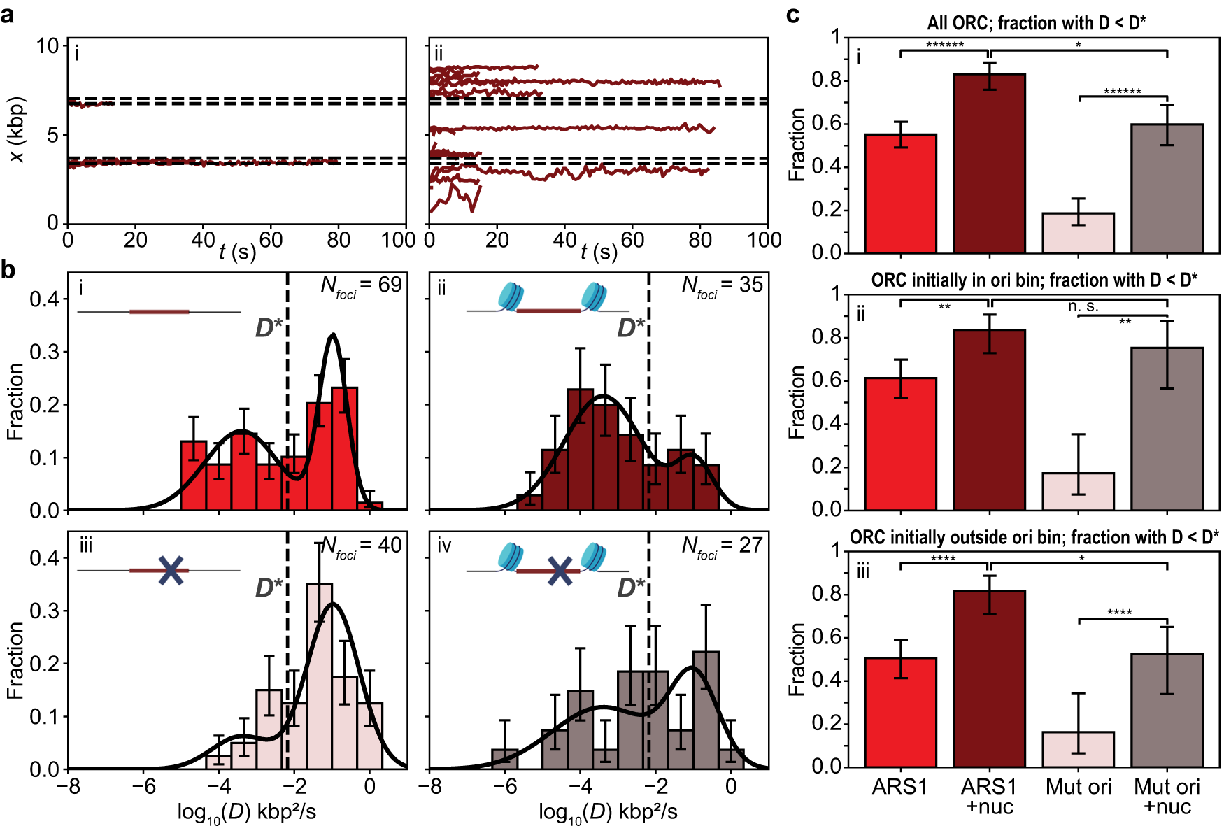Fig. 3: Mobility of rapidly bound ORCJF646 on 10.4 kbp DNA containing an ARS1 (or mutated) origin (chromatinized or not).
