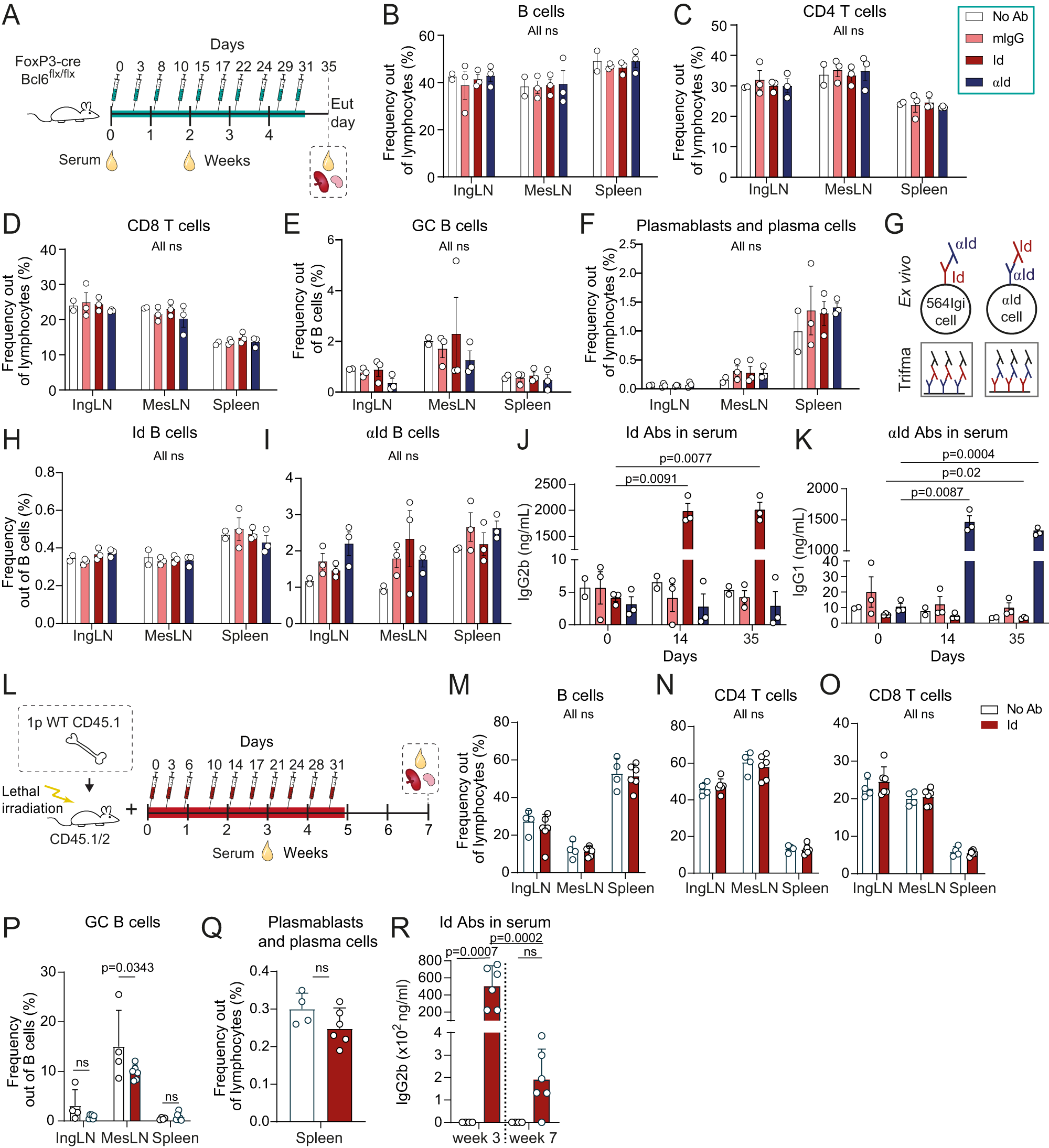 Fig. 3: Autoantibody derived from the initiating clone is insufficient to break tolerance, even under permissive conditions.
