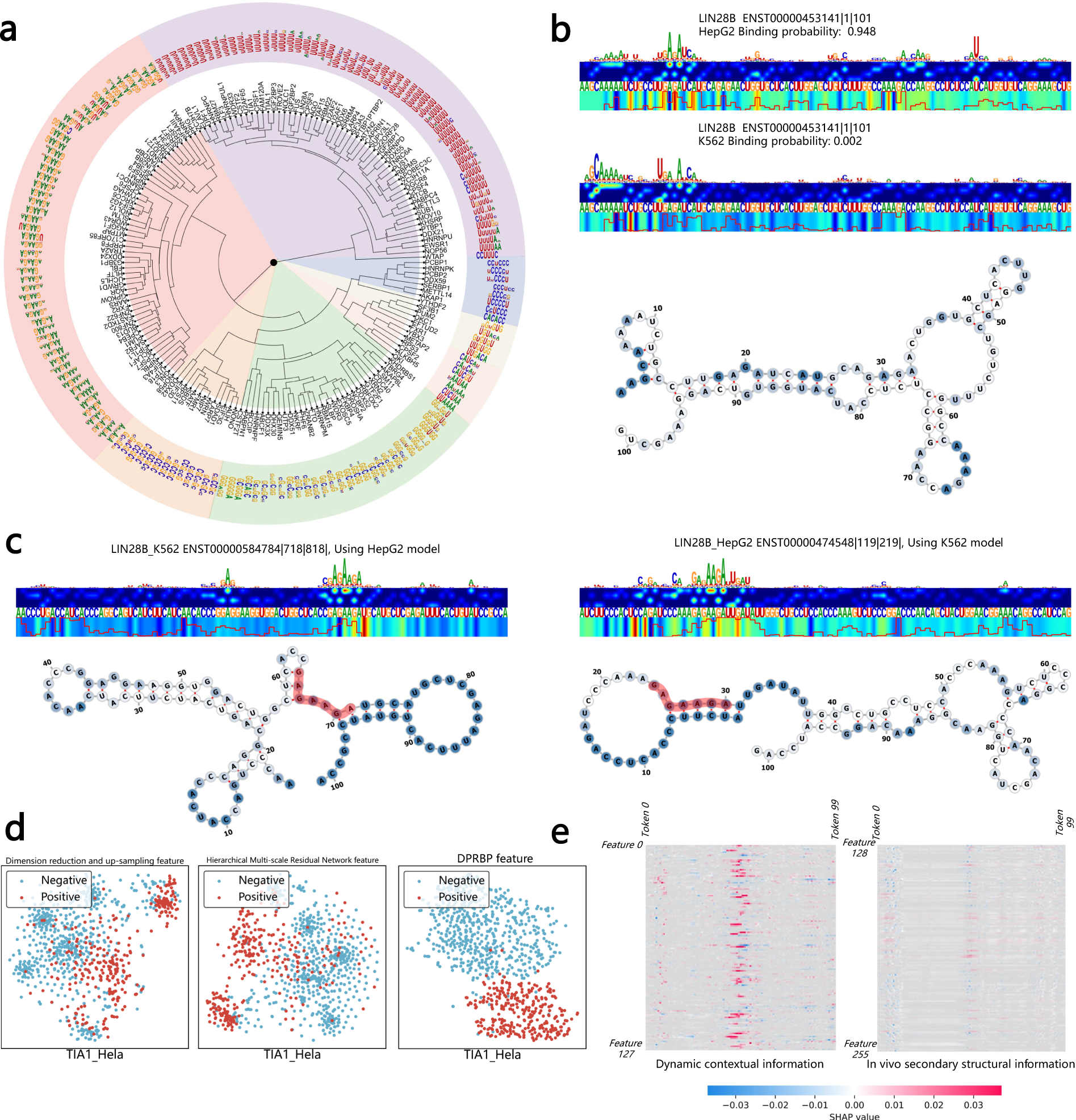 Fig. 7: Interpretation study of HDRNet.