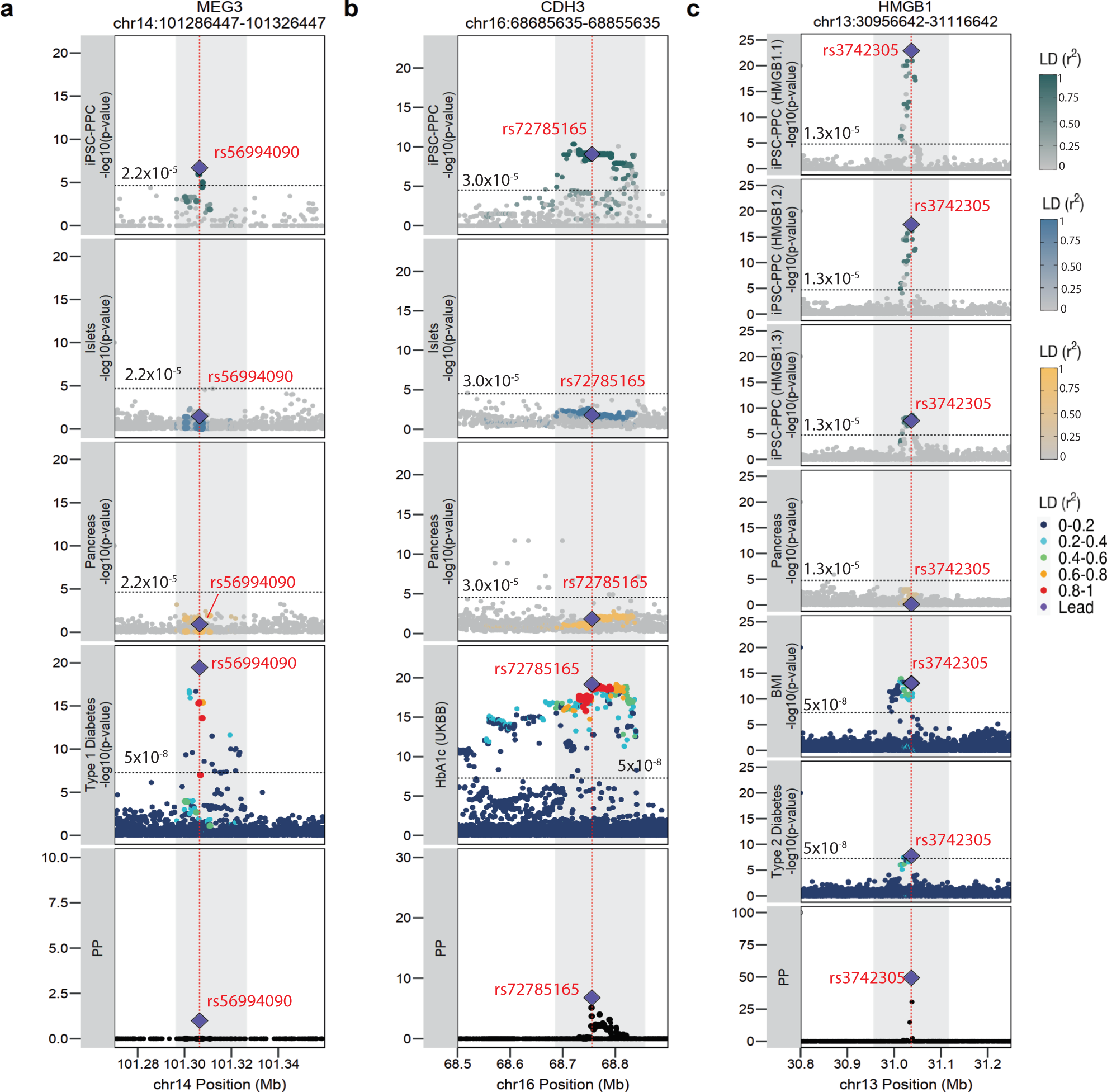 Fig. 7: Pancreatic GWAS associations with fetal-specific alternative splicing.