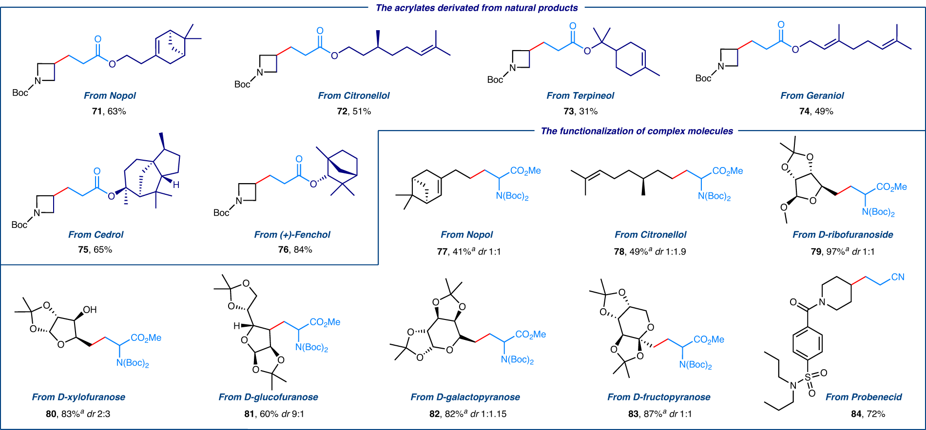 Fig. 3: Functionalization of complex molecules via electrochemical halogen-atom transfer (e-XAT).