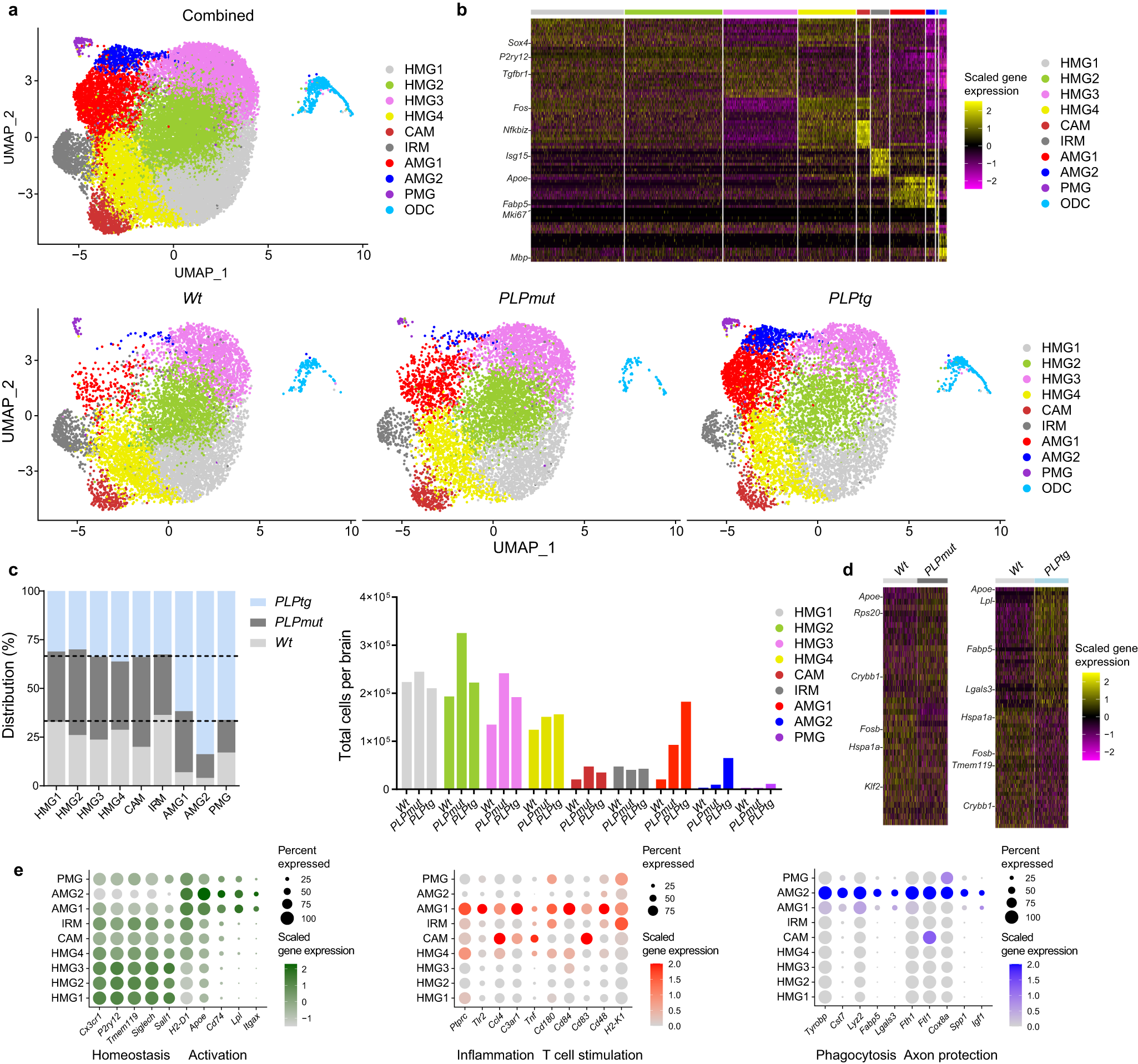 Fig. 3: scRNA-seq reveals heterogeneous neural-immune interactions in mice with distinct myelin defects.