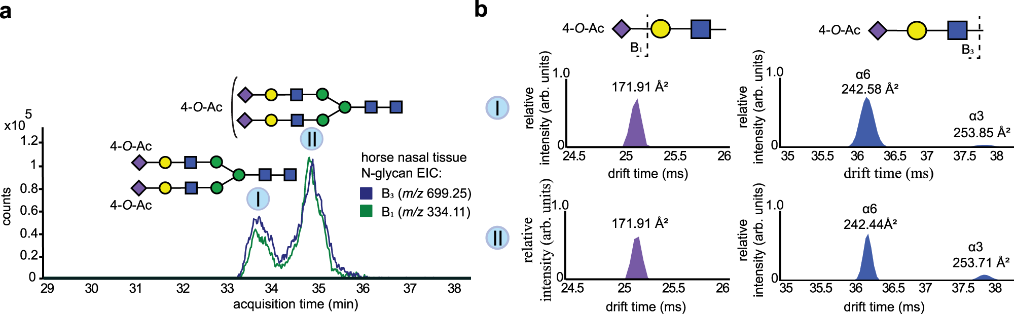 Fig. 4: O-acetylated (O-Ac) N-glycans derived from equine nasal tissue.