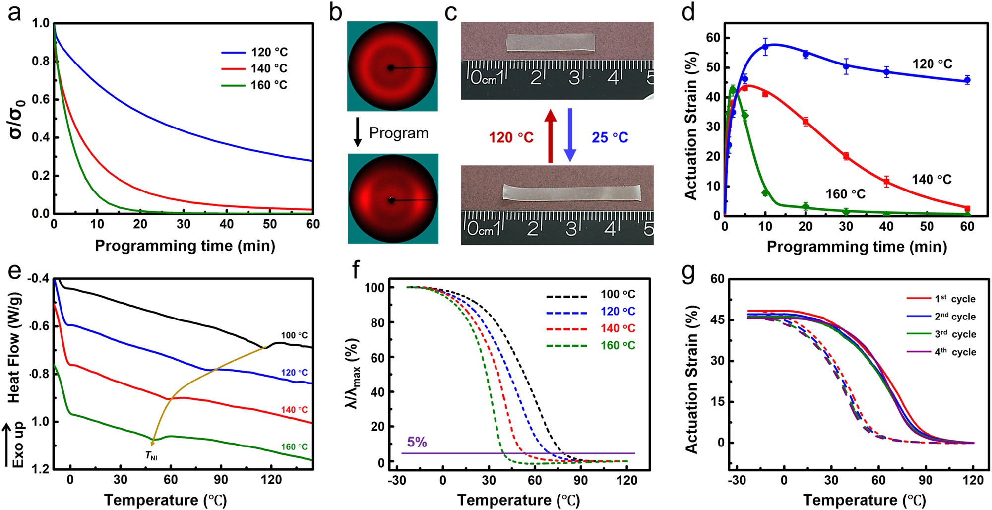 Fig. 2: Actuation programming of LCEs (catalyst: 1% neutralized TBD, pre-stretched strain: 50%).