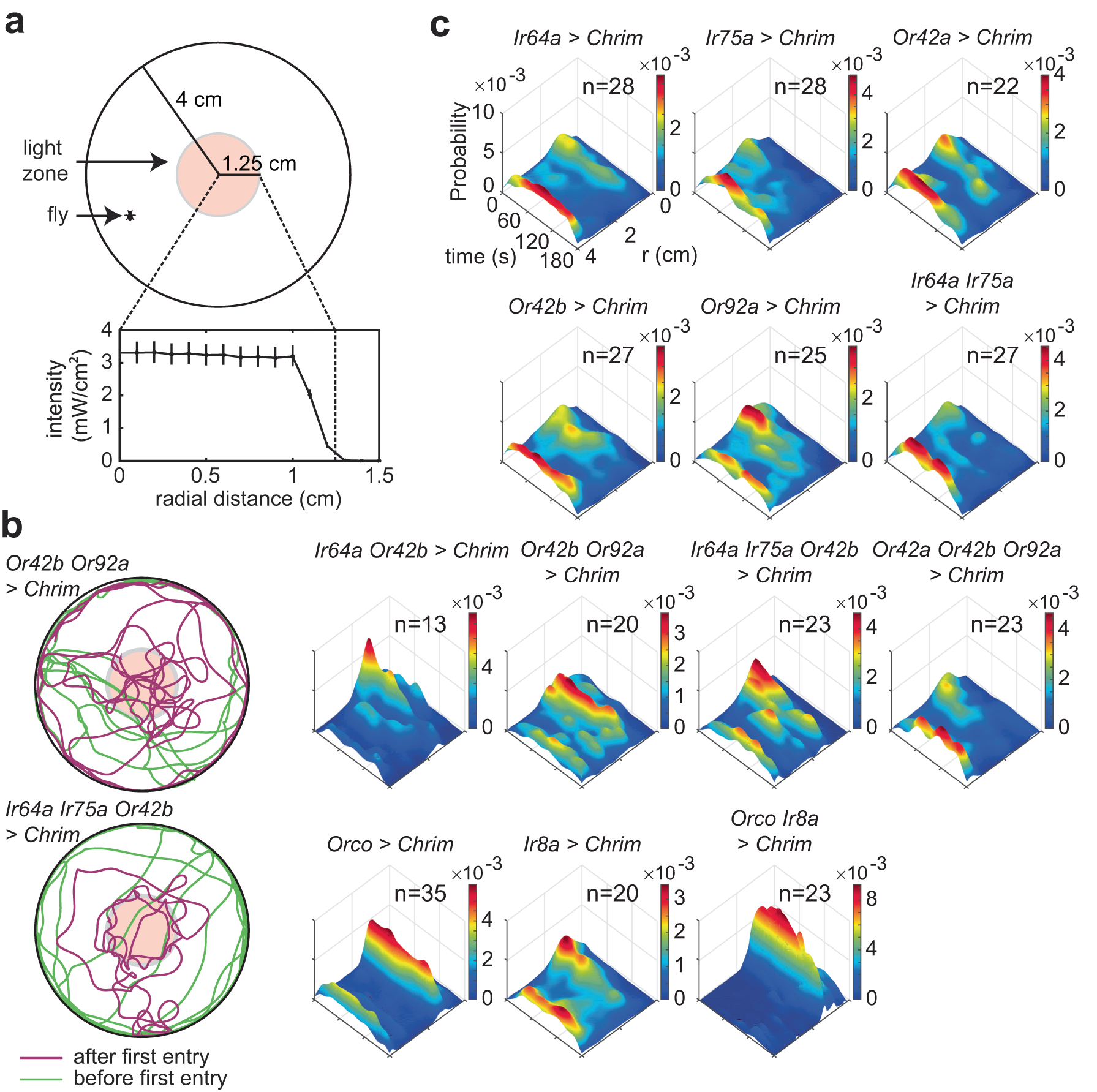 Sensorimotor transformation underlying odor-modulated locomotion in walking  Drosophila